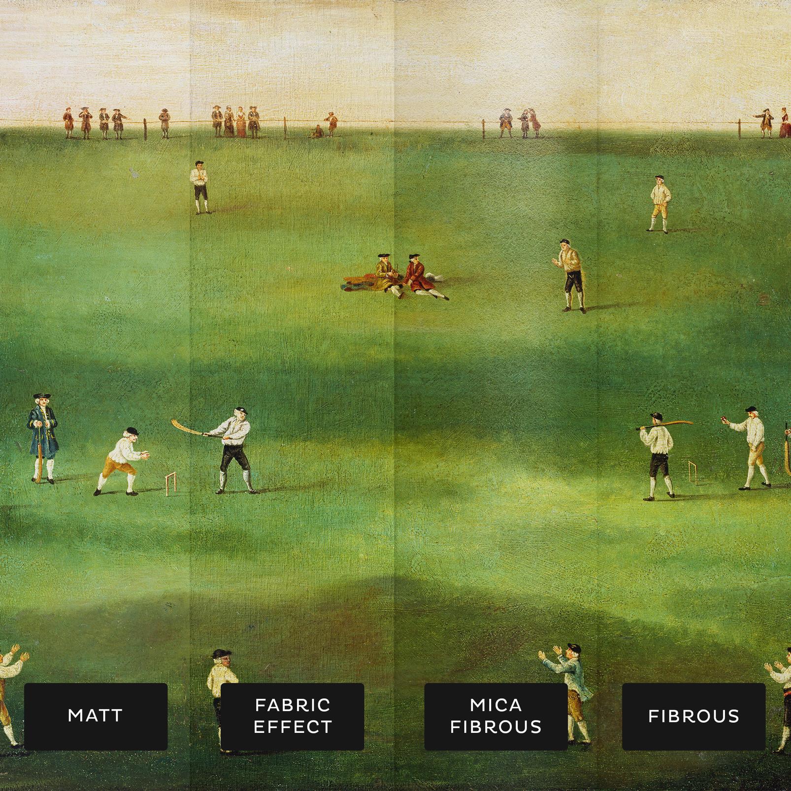 An Exact Representation of the Game of Cricket Bespoke Mural - 142469_SUBSTRATE_01.jpg