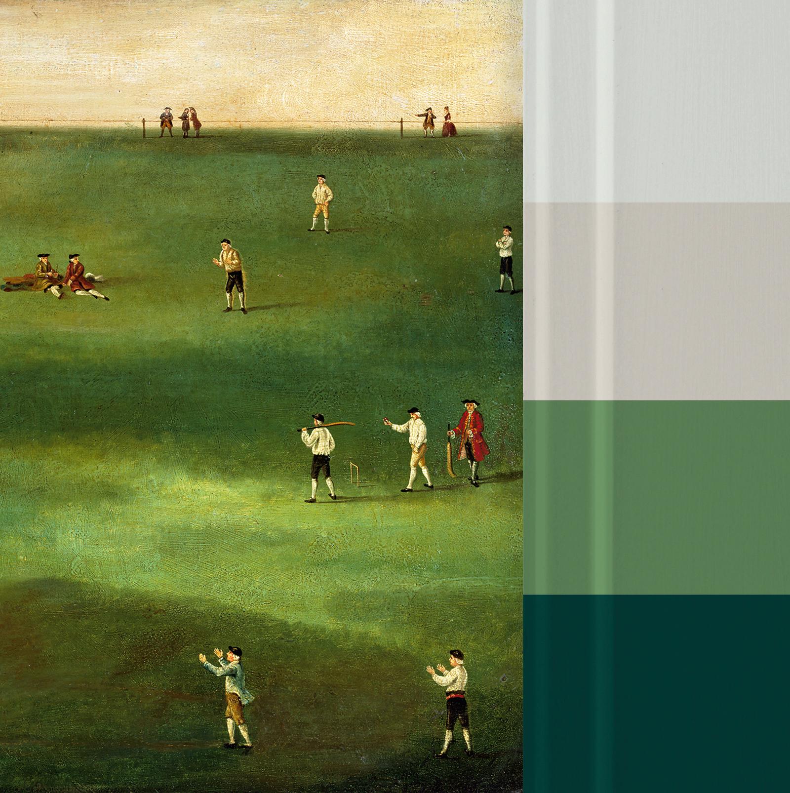 An Exact Representation of the Game of Cricket Bespoke Mural - 142469_FLATLAY_01.jpg