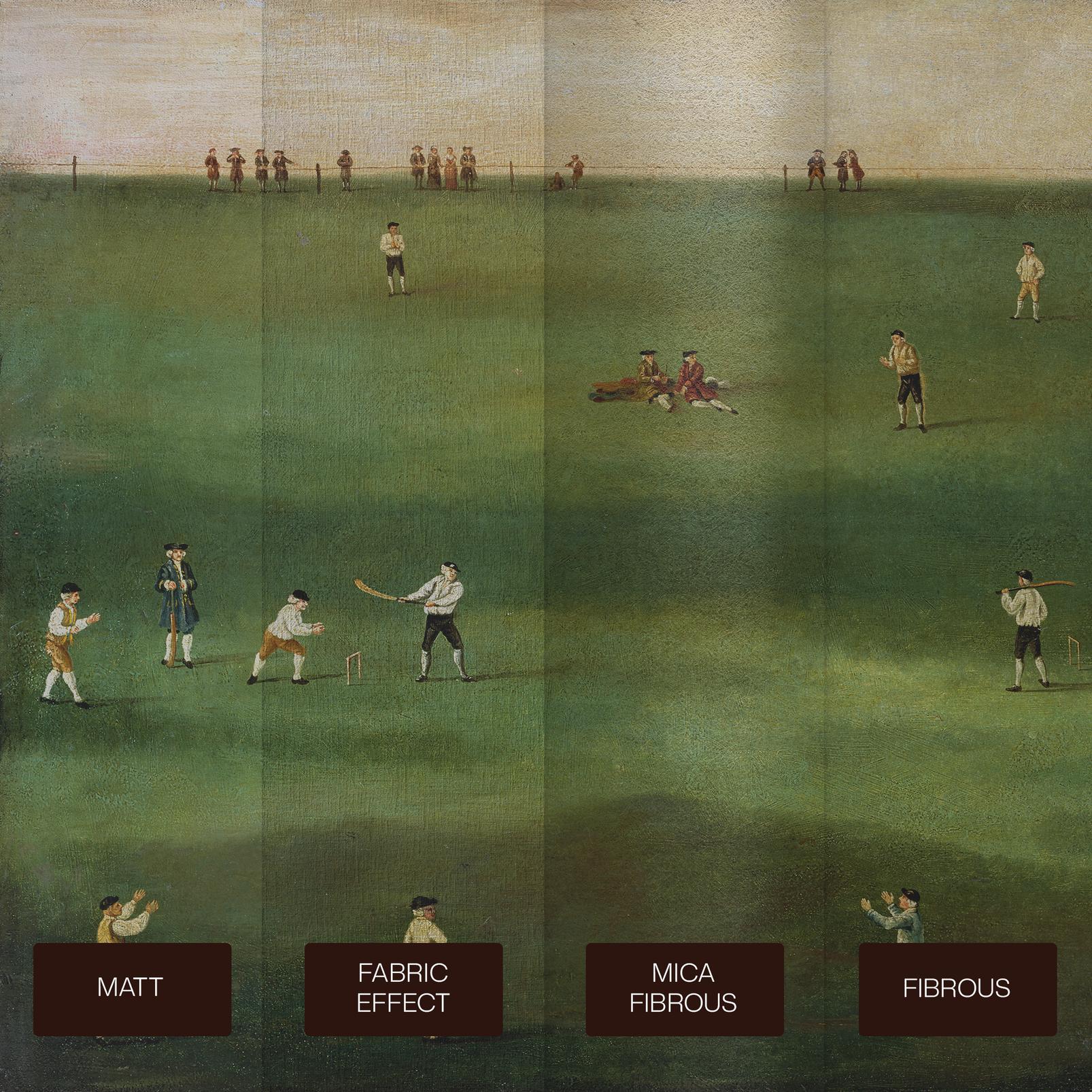 An Exact Representation of the Game of Cricket Bespoke Mural - 142469_SUBSTRATE_01.jpg