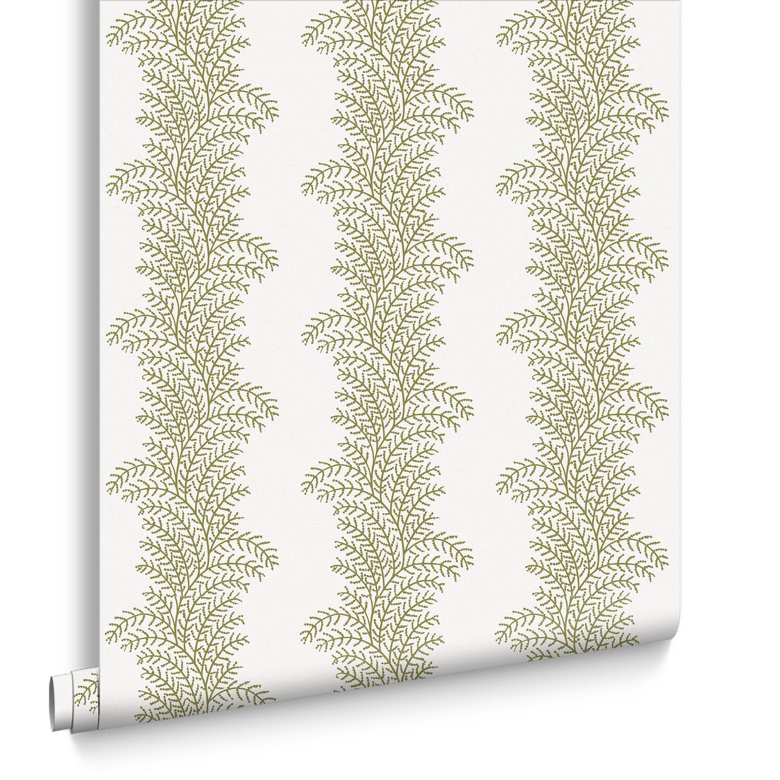 Whispering Fern Willow Wallpaper - 143537_DIGITAL ROLL_01.jpg