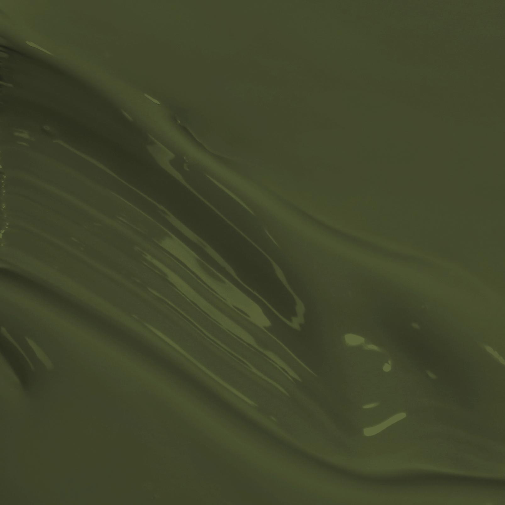 Forest Paint - 145284_PAINT_SWISH.jpg