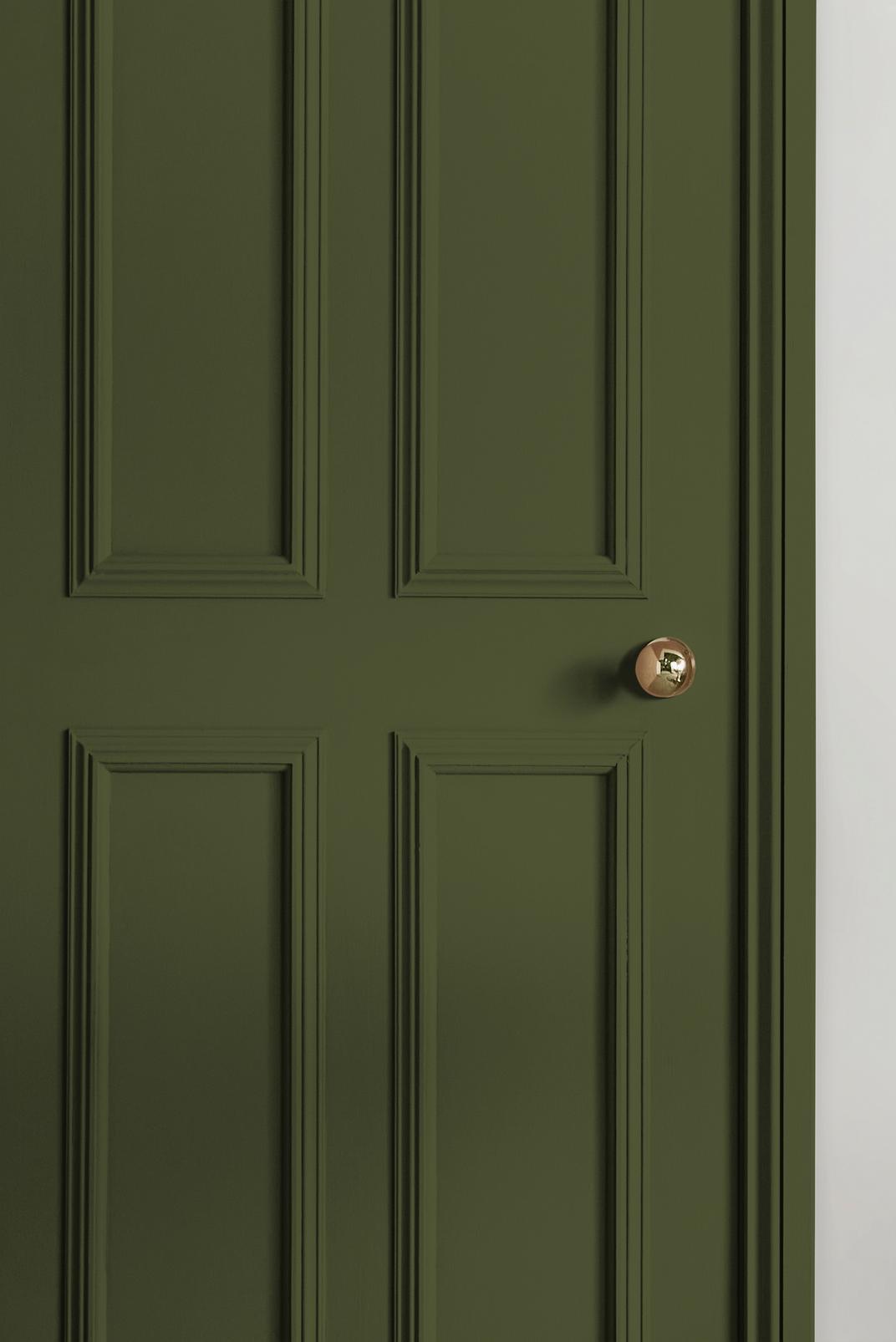 Forest Paint - 145284_INTERNAL_DOOR.jpg