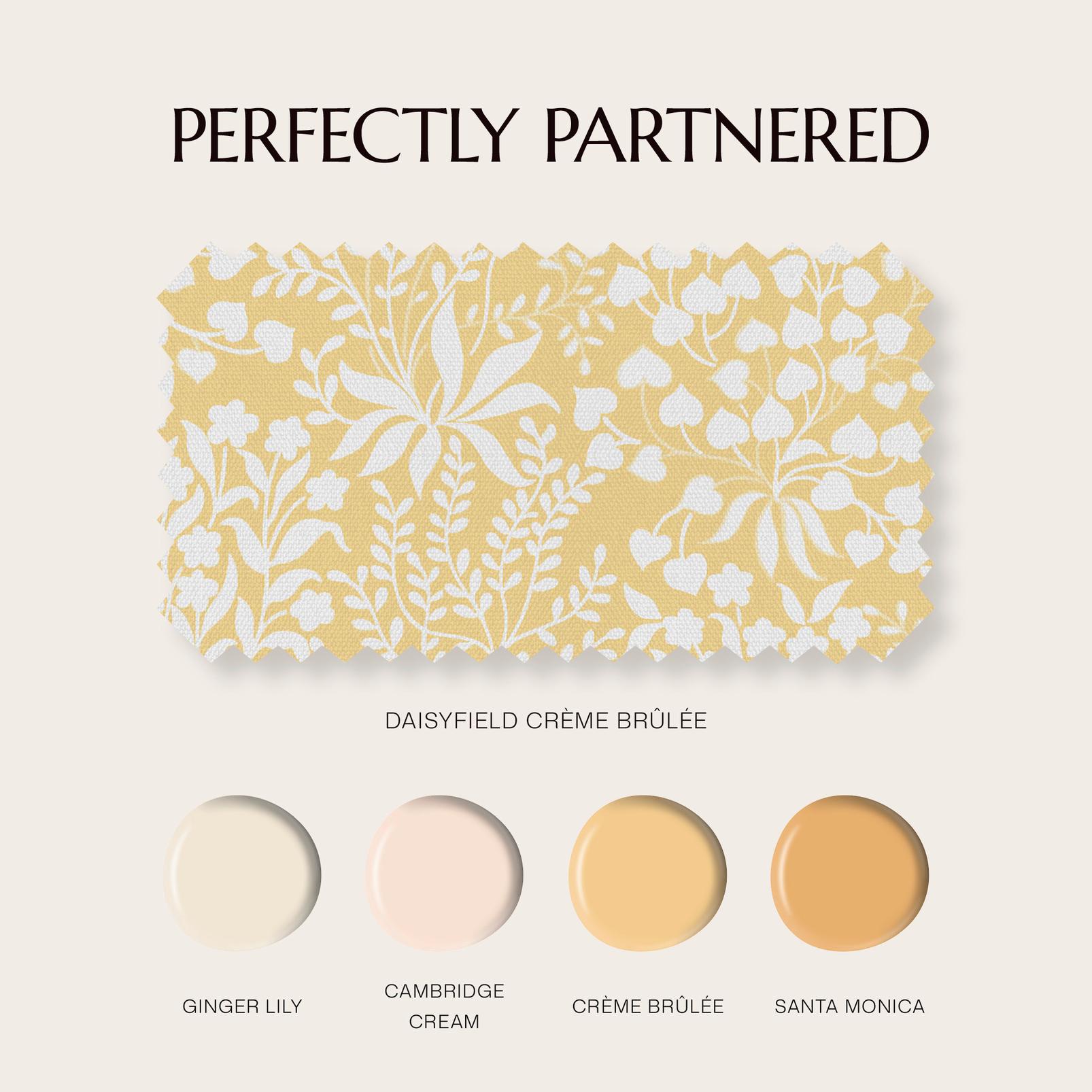 Daisyfield Crème Brûlée Curtain - 143618cur_COORDINATES_01.jpg