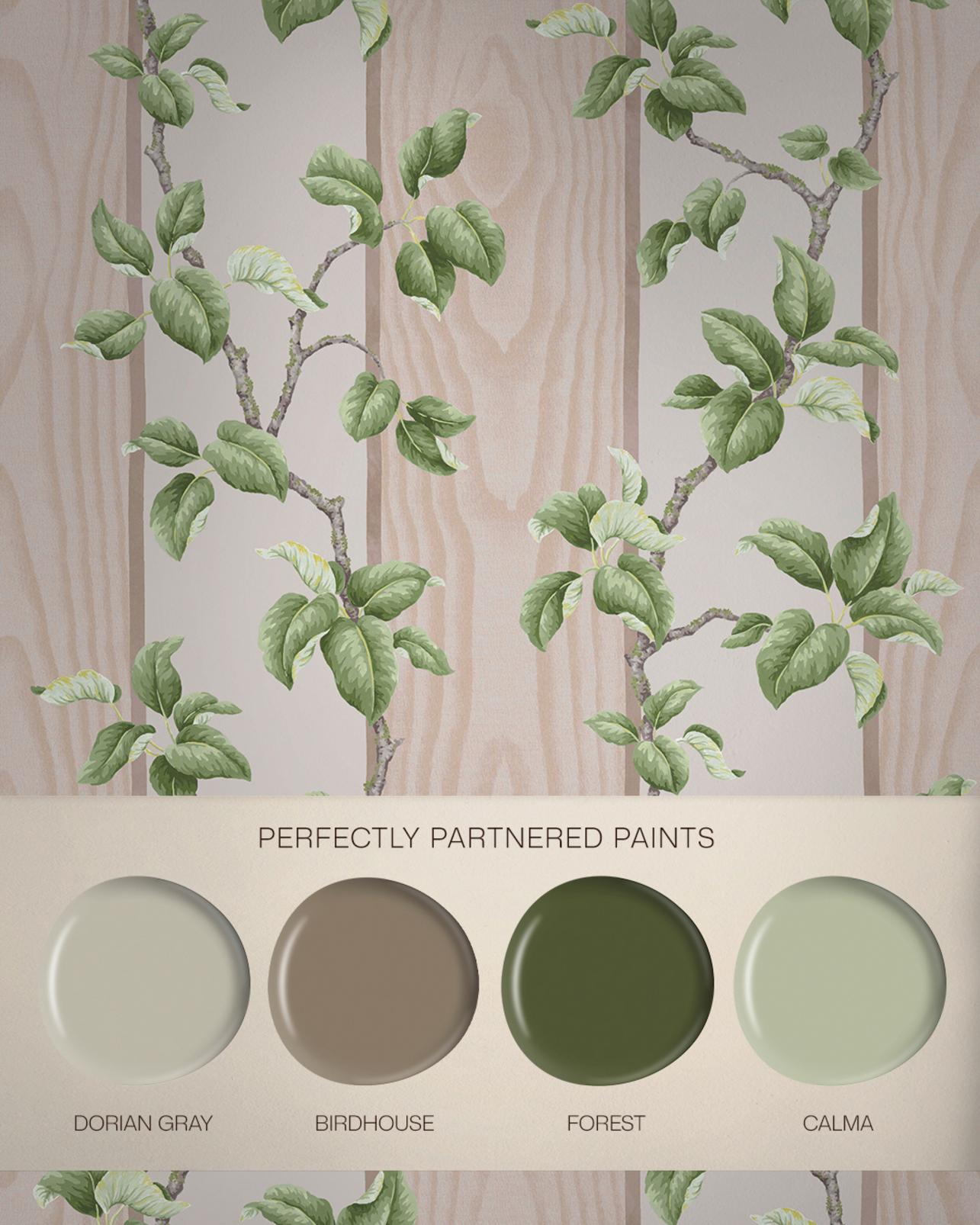 Kate Berry Climbing Branches Clay Wallpaper - 145761_FLATLAY_Climbing_Branches_Clay.jpg