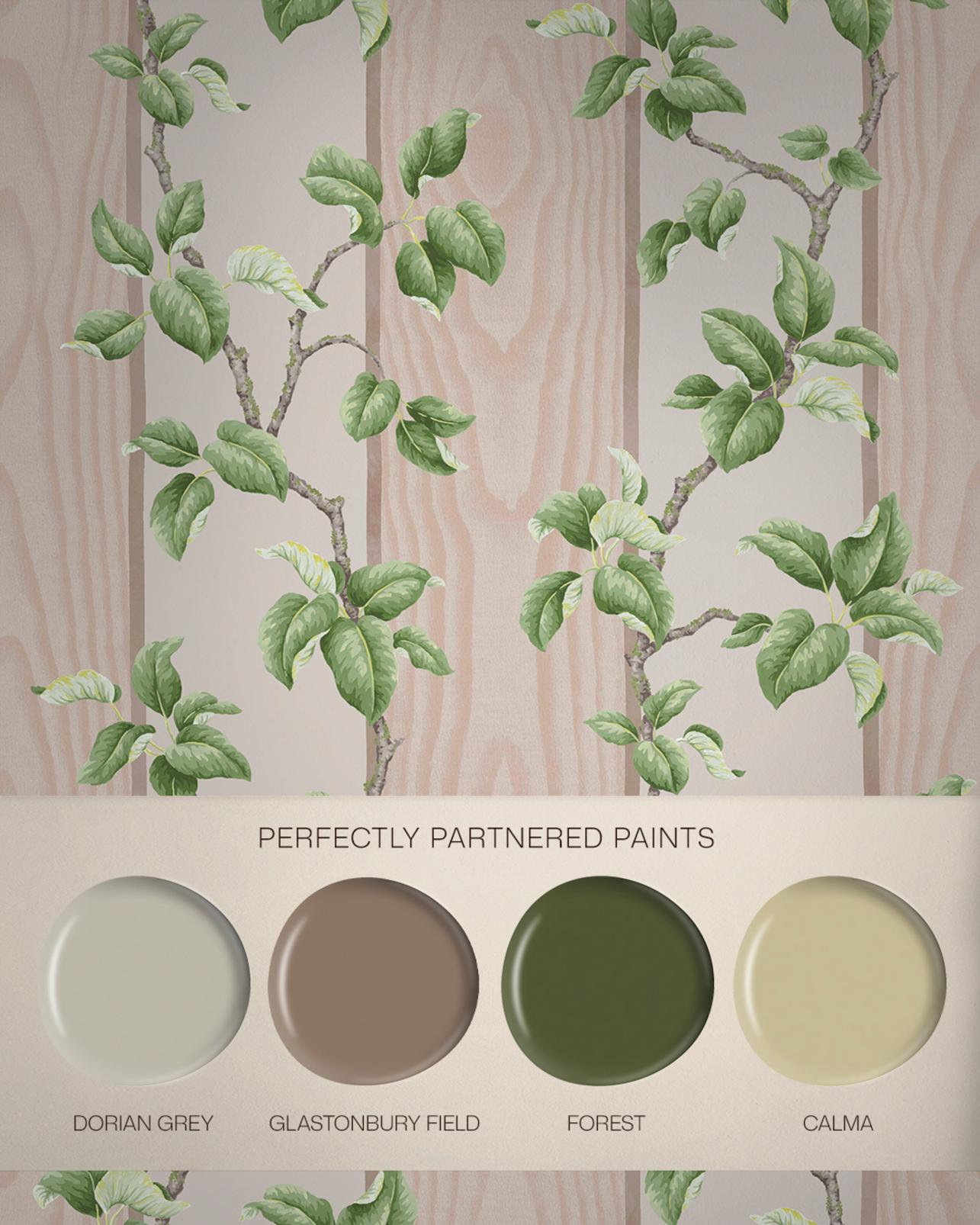 Kate Berry Climbing Branches Clay Wallpaper - 145761_FLATLAY_01.jpg