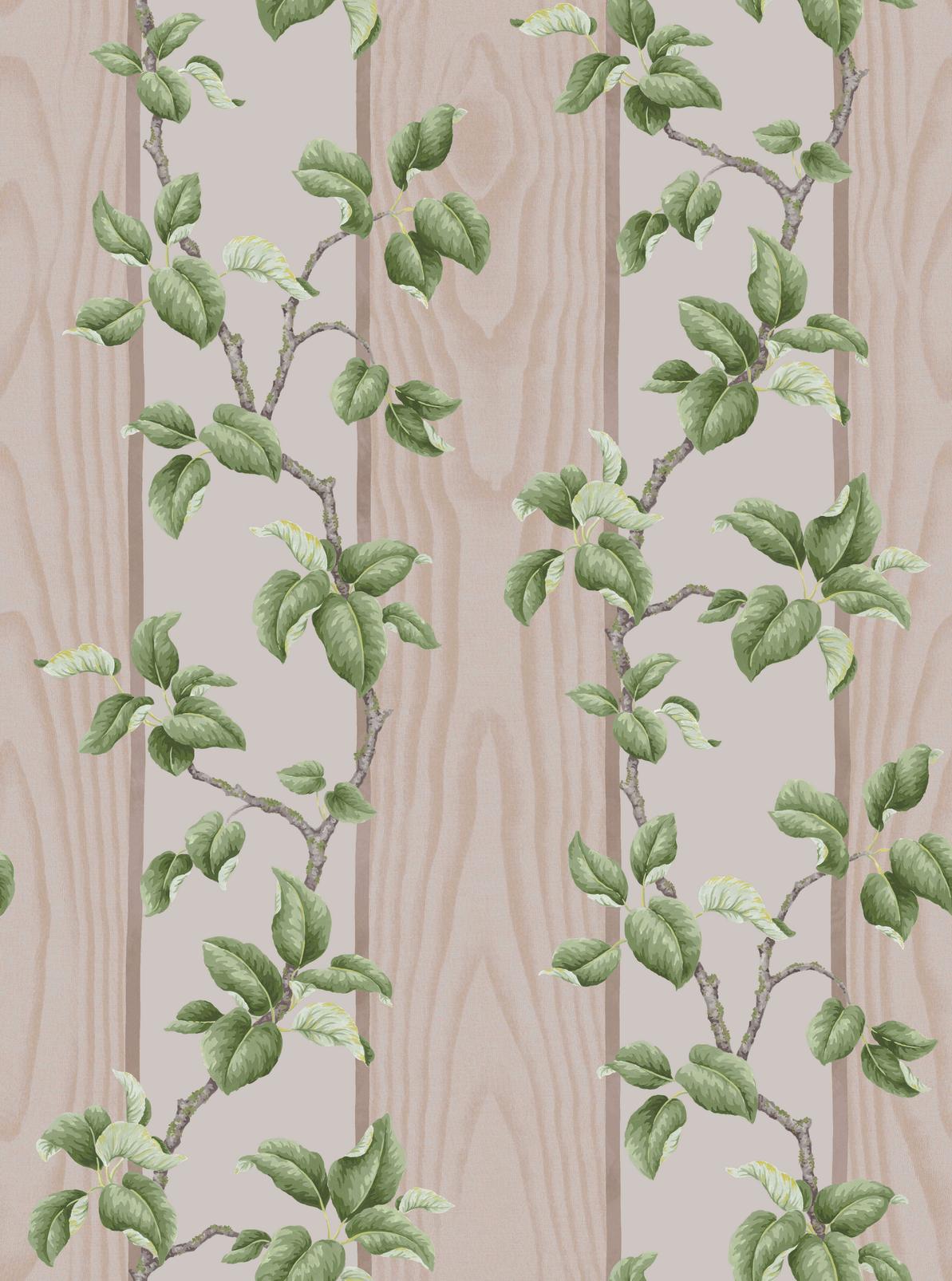 Kate Berry Climbing Branches Clay Wallpaper - 145761_TILE_Climbing_Branches_Clay.jpg