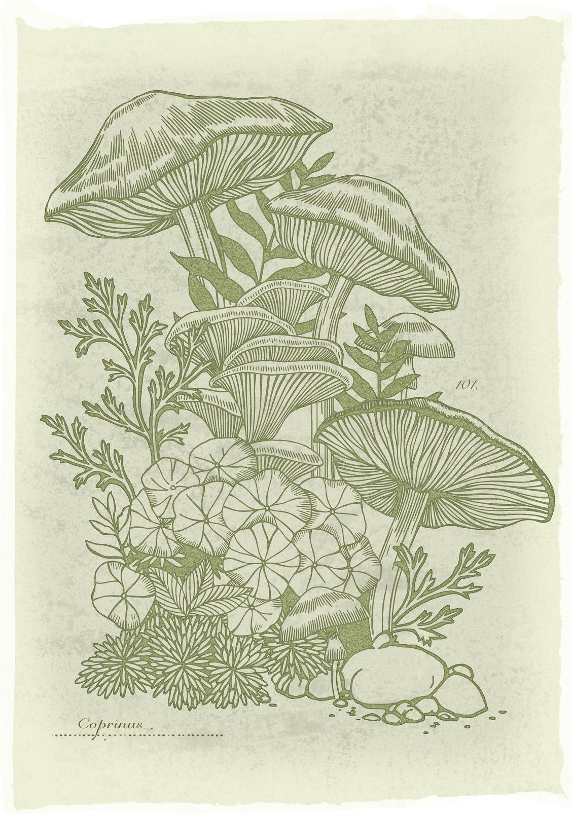 Fungi Folklore Sage Green Wall Art - 149282_TILE_01.jpg