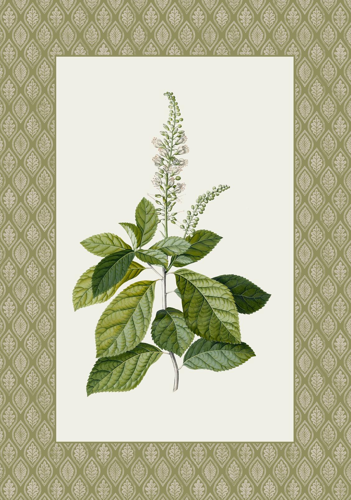 Edo Dark Sage Green Wall Art - 149216_TILE_01.jpg