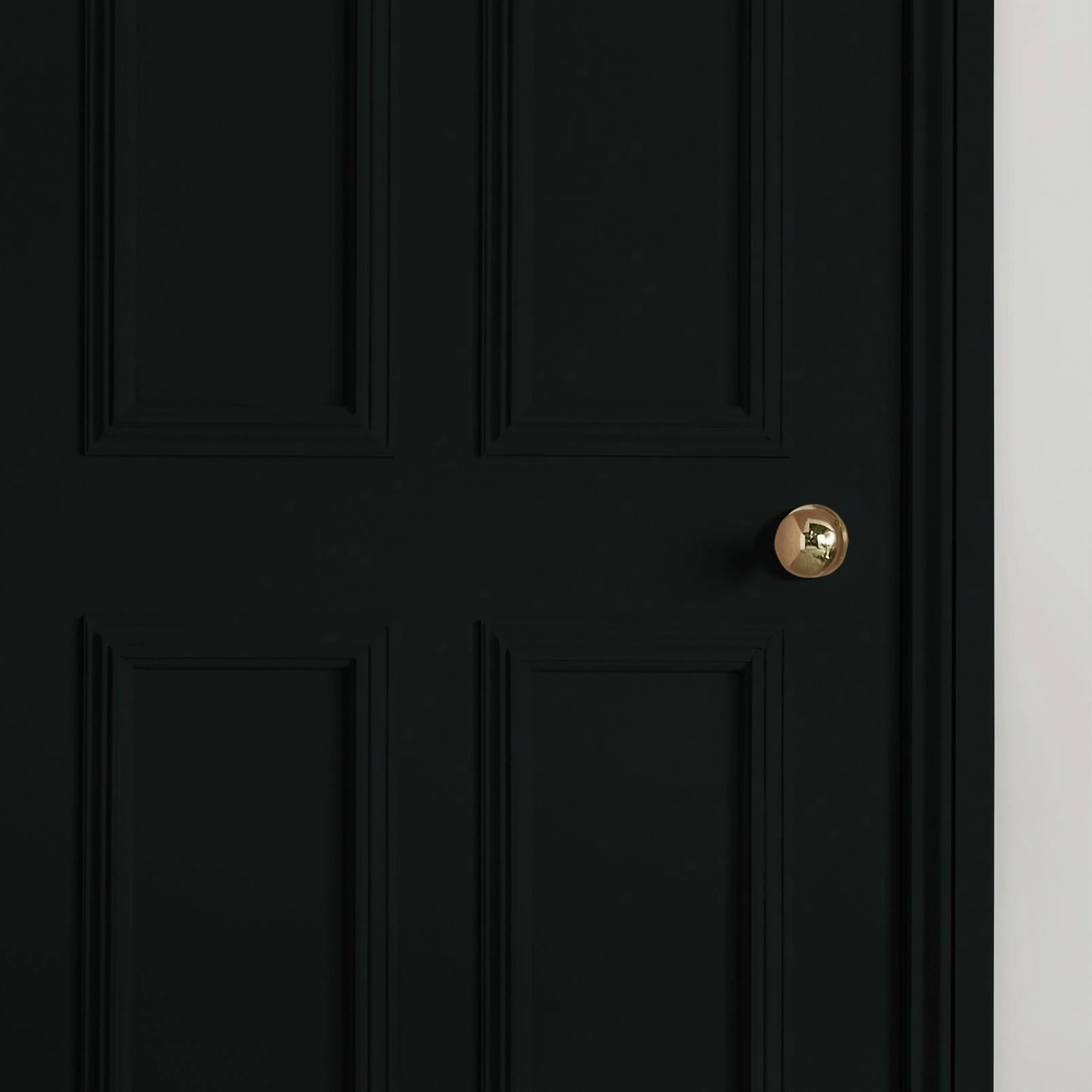 Kelp Paint - 147275_INTERNAL_DOOR.jpg