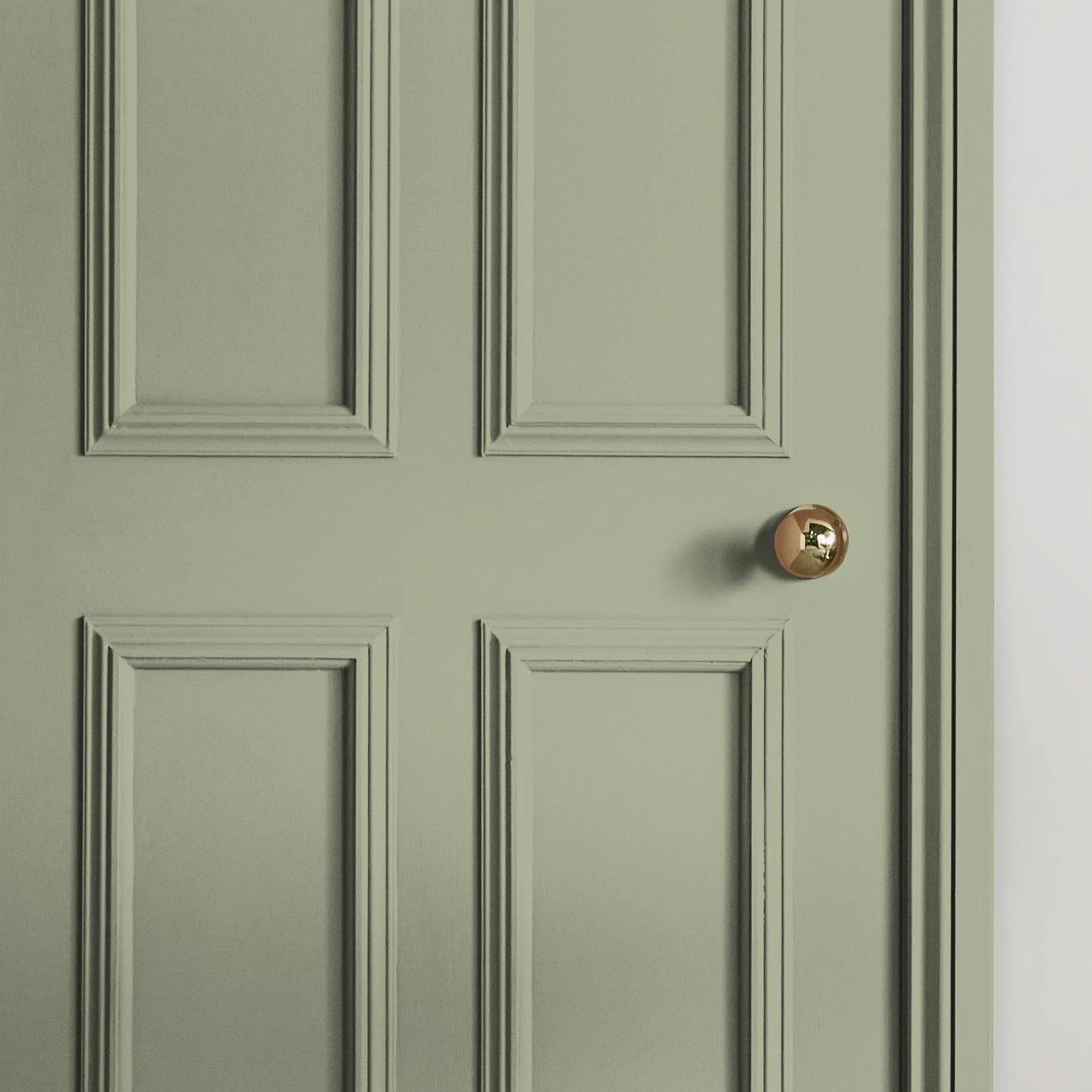 Vetiver Paint - 147291_INTERNAL_DOOR.jpg