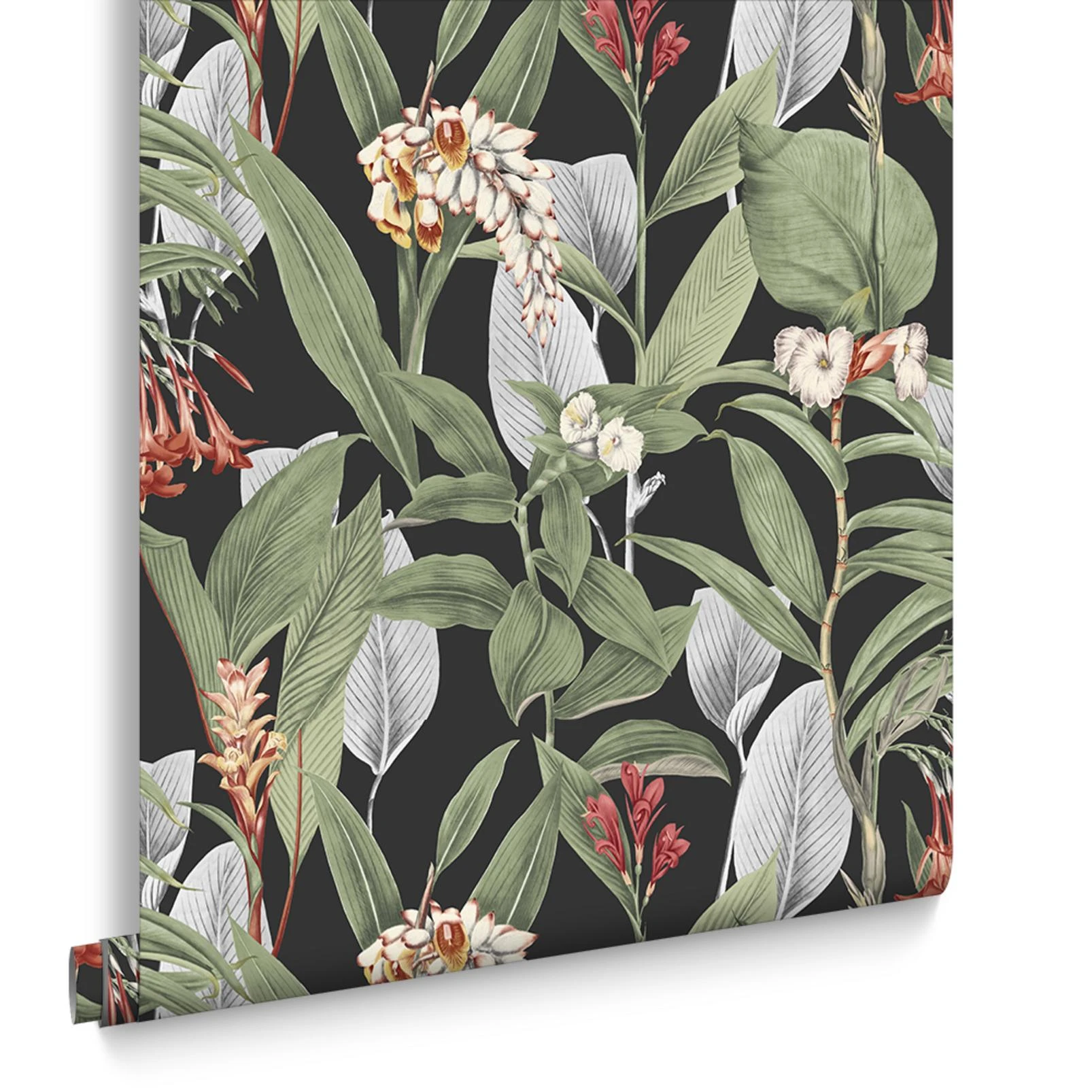 Botanical Black Wallpaper - 103798_DIGITAL ROLL_BOTANICAL BLACK_01.jpg