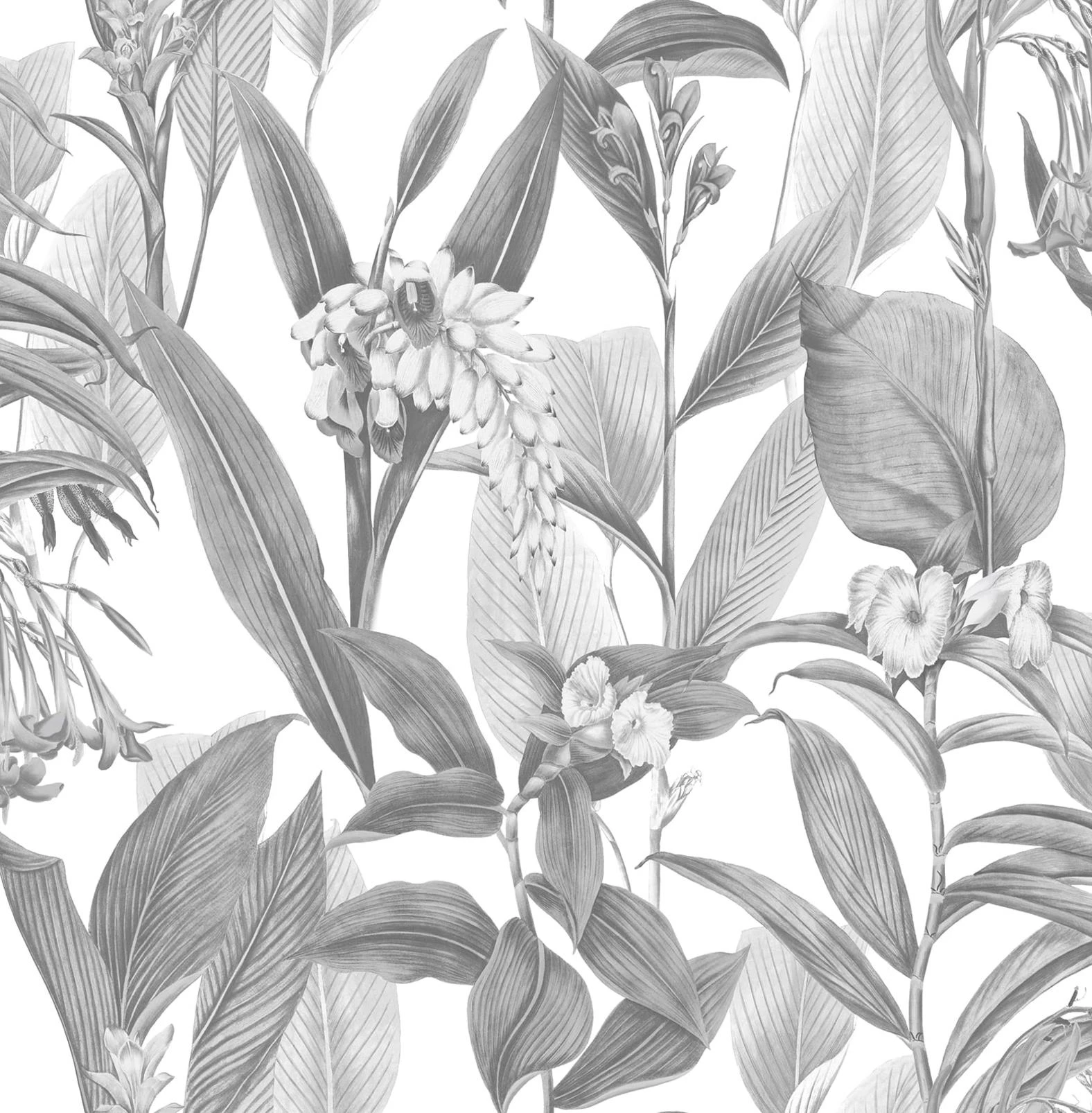 Botanical Shadow Wallpaper - 103801_TILE_BOTANICAL SHADOW_01.jpg