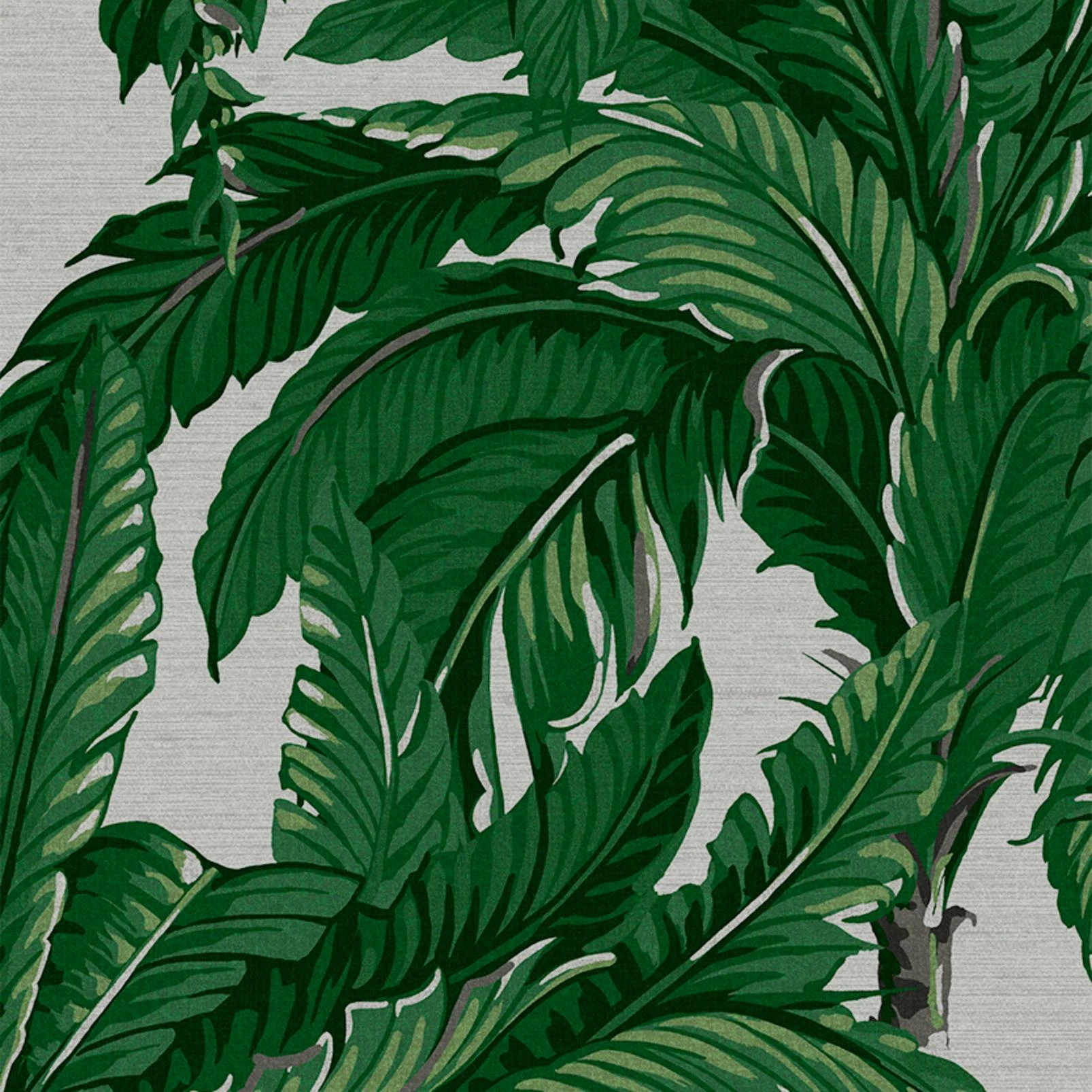 Daintree Palm Pearl Wallpaper - 112020_TILE_DAINTREE PALM PEARL_01.jpg