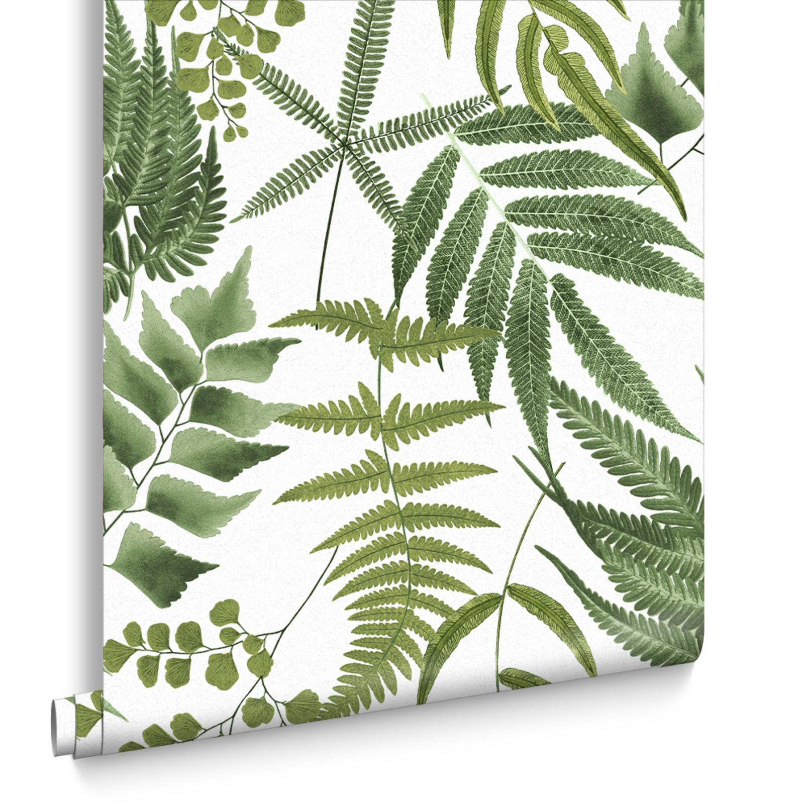 Midsummer Fern Lush Wallpaper - 107880_DIGITAL ROLL_MIDSUMMER FERN LUSH_01.jpg