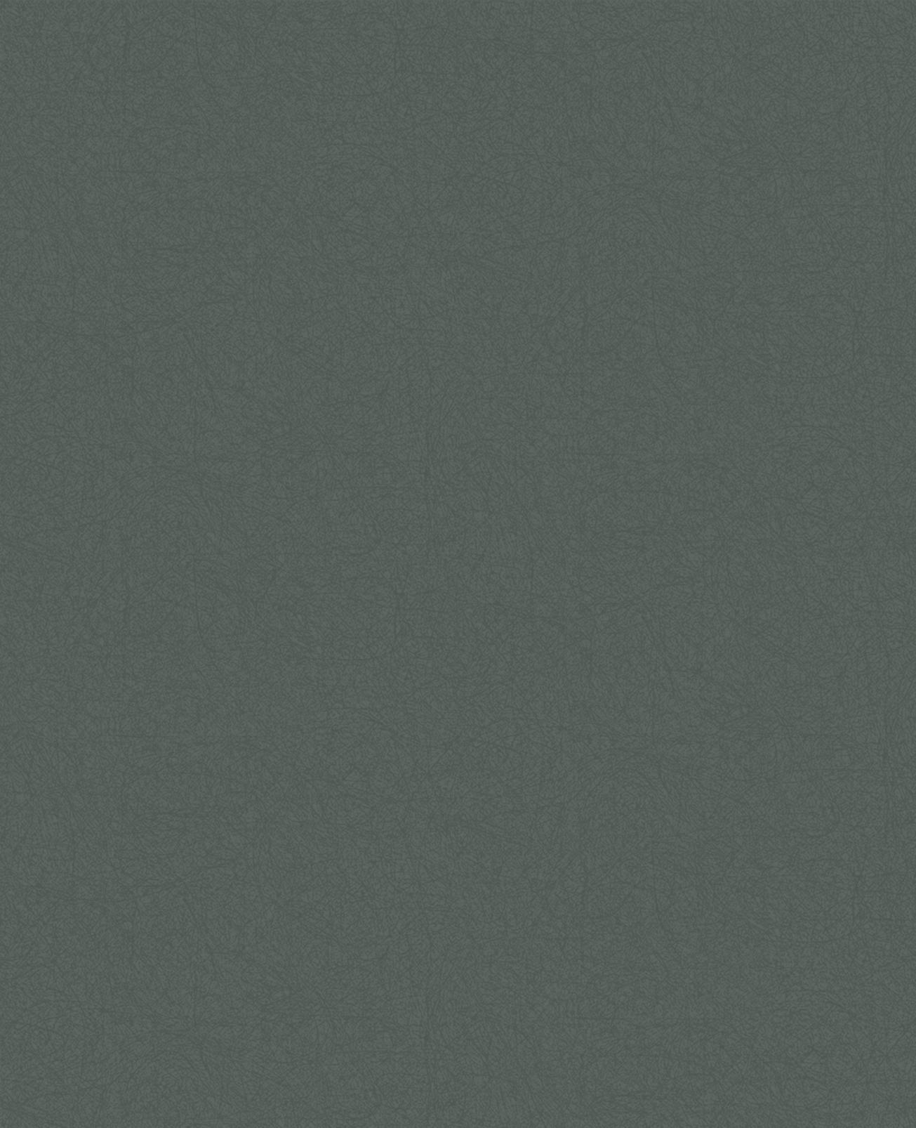 Luxury Sage Plain Wallpaper - 114187_TILE_LUXURY SAGE PLAIN_01.jpg