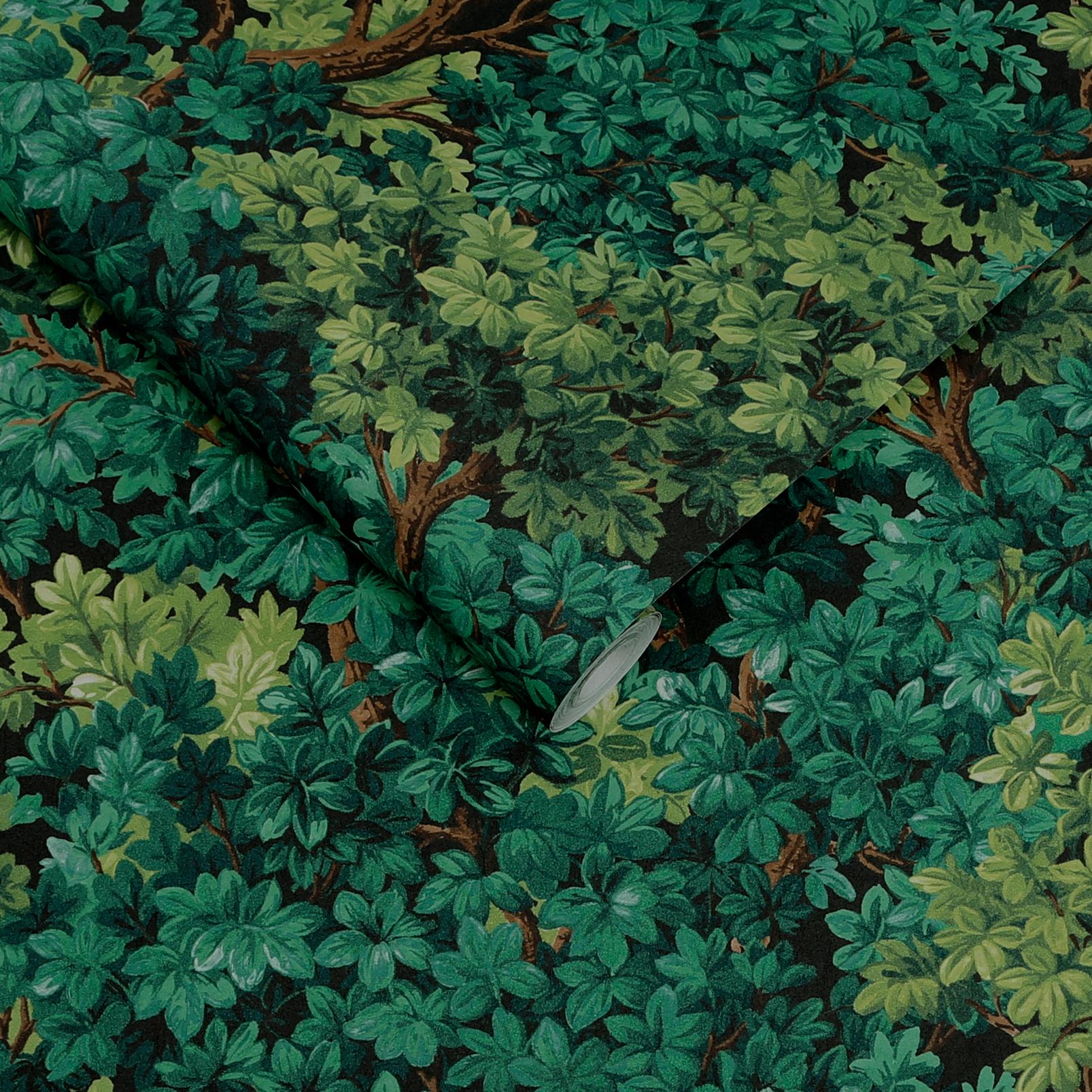 Coppice Forrest Wallpaper - 119663_ROLLSHOT_COPPICE FORREST_01.jpg