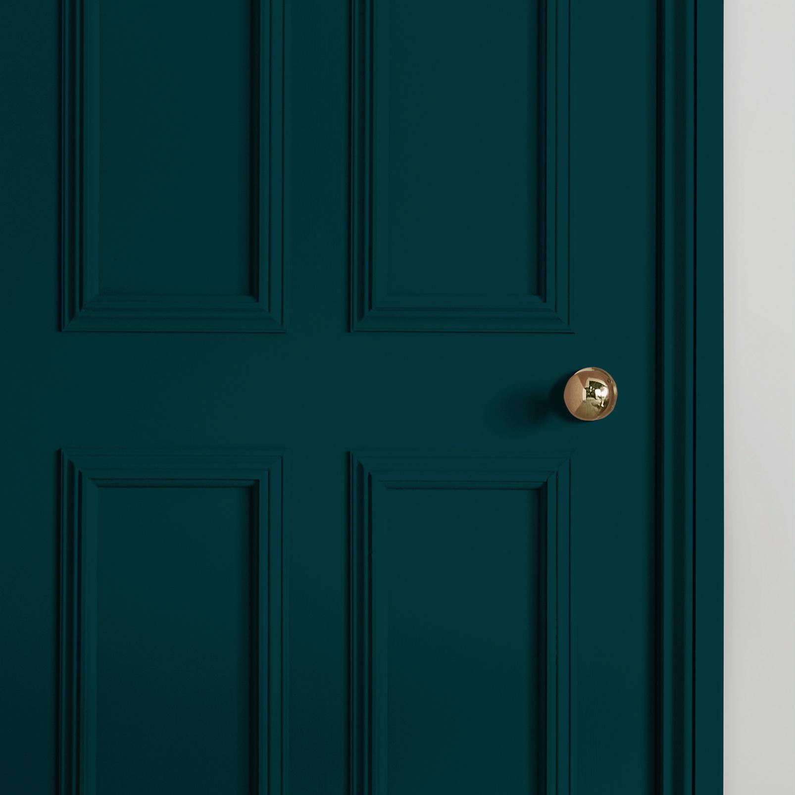 Jewel in the Crown Paint.ed door