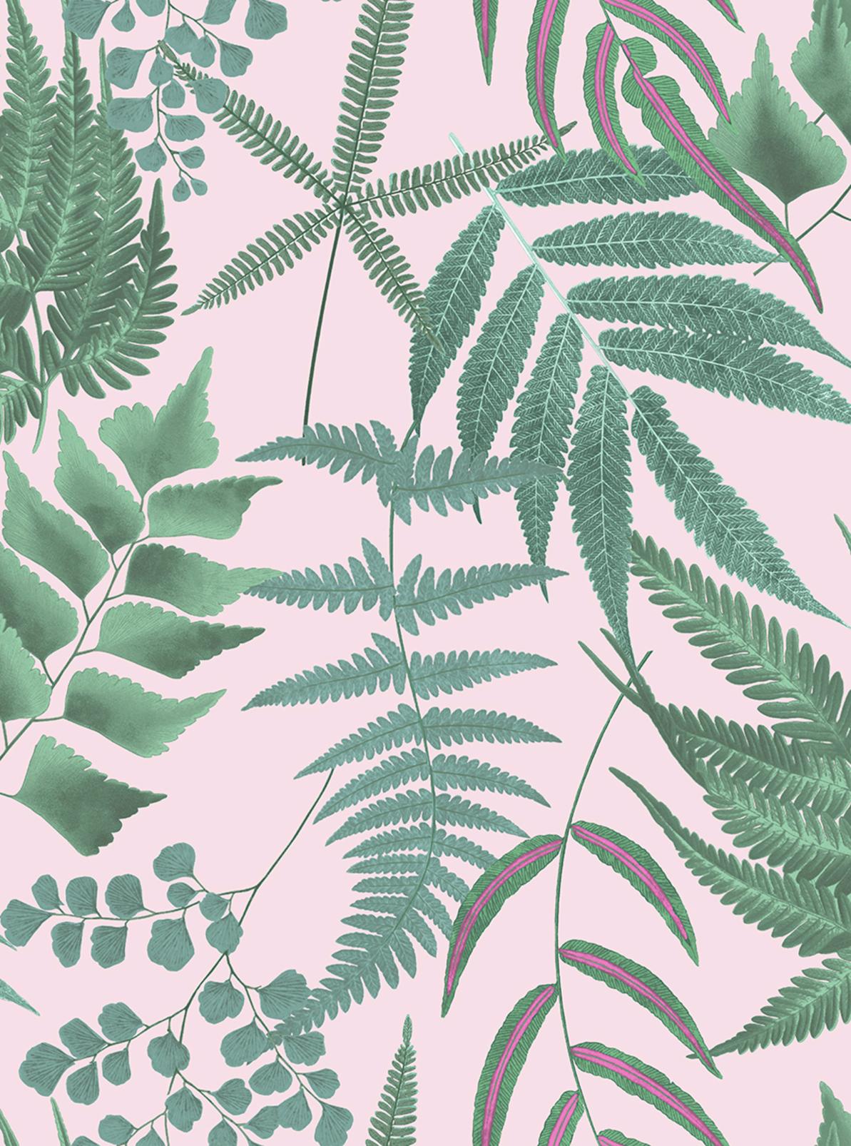 Midsummer Fern Blush Wallpaper - 107878_TILE_MIDSUMMER FERN BLUSH_01.jpg