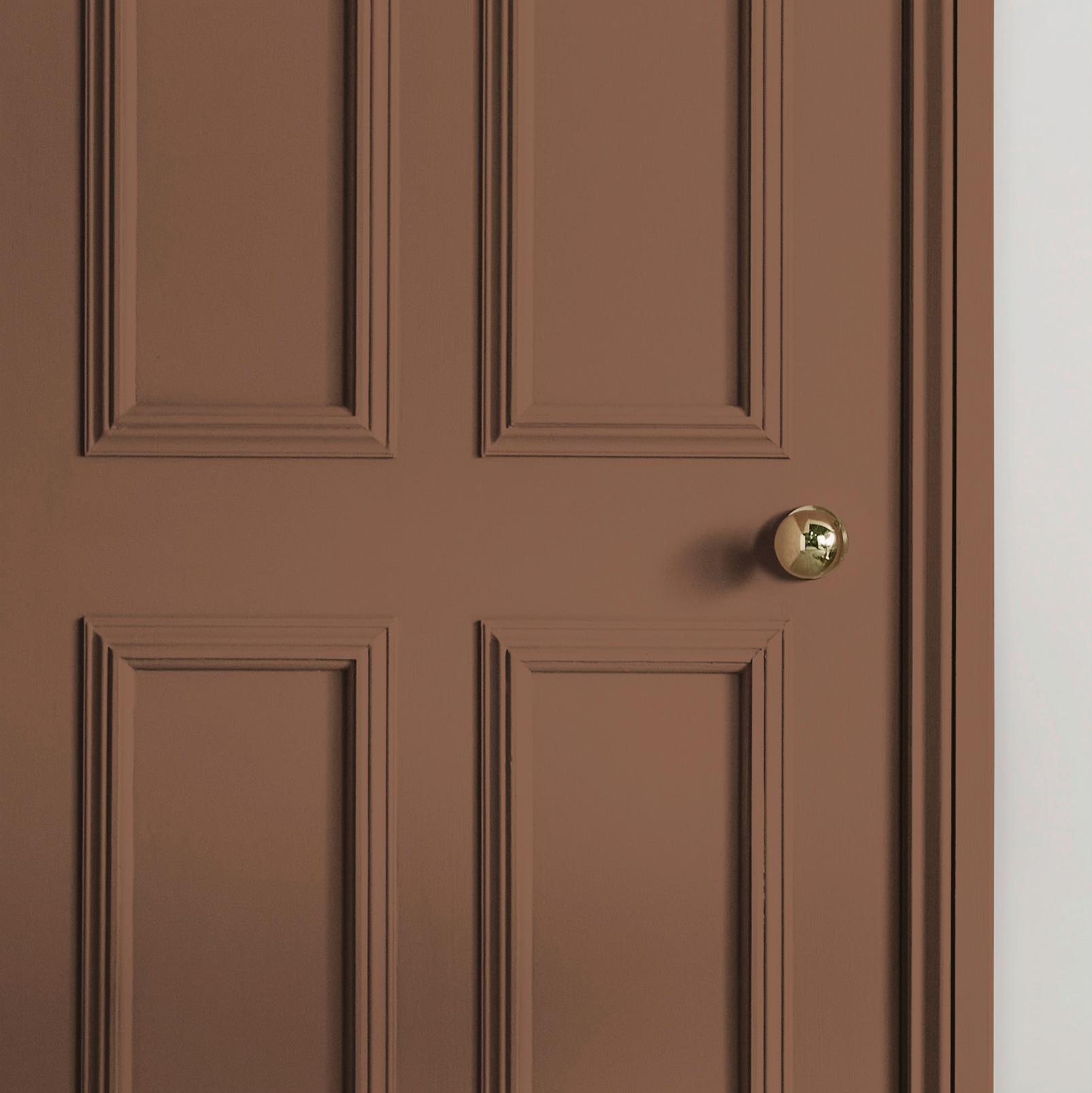 Hot Mocha Paint - 109913_INTERNAL_DOOR.jpg