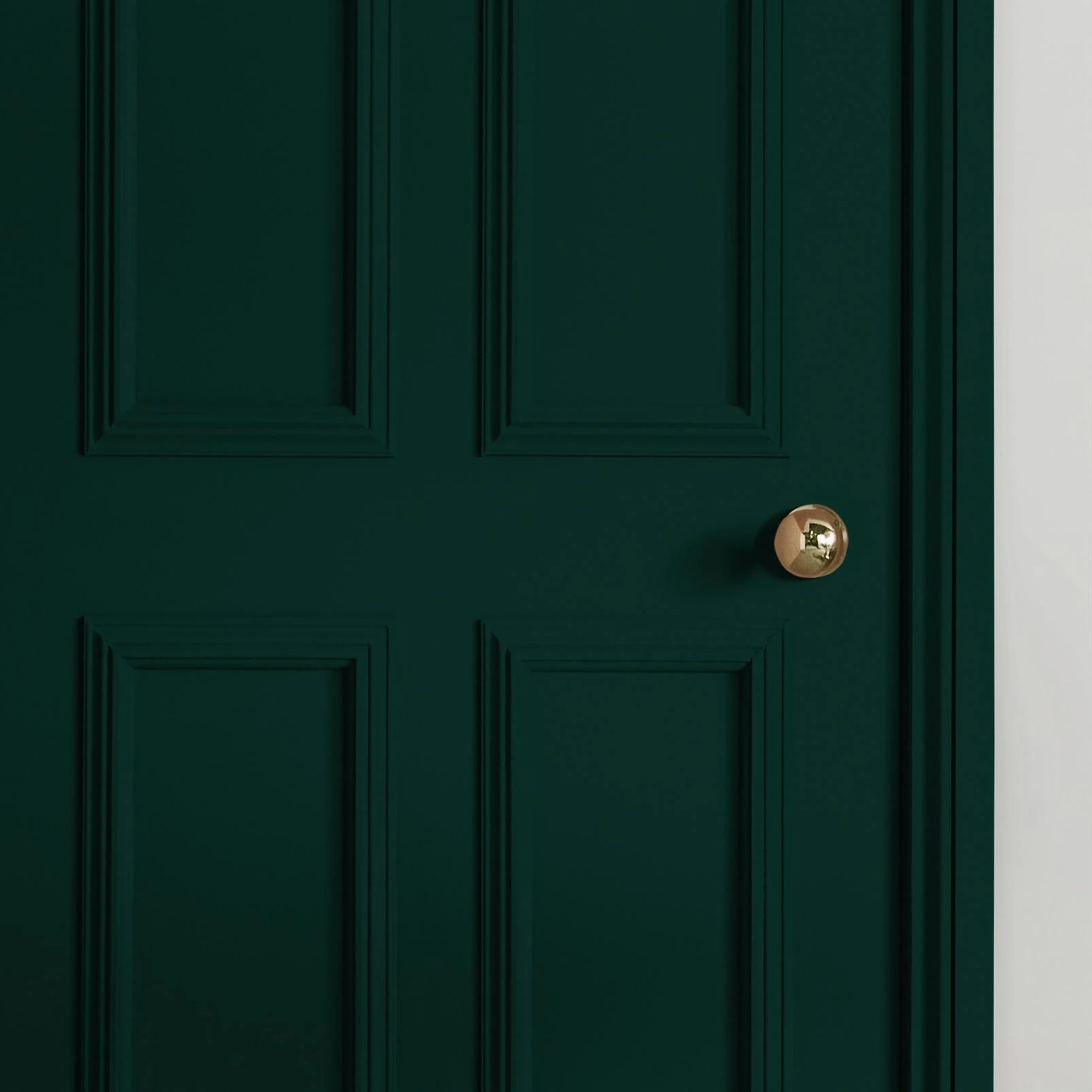 Eva Paint - 109604_INTERNAL_DOOR_.jpg