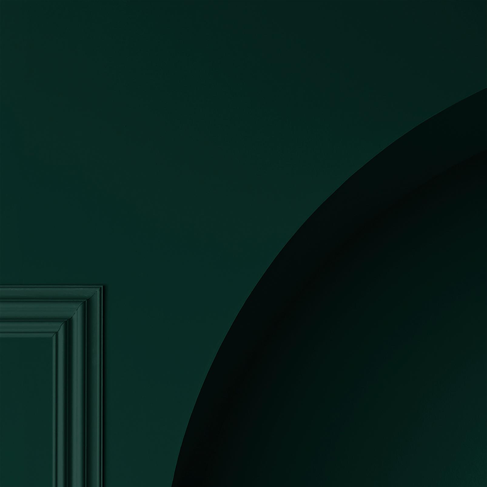 Eva Paint detail image