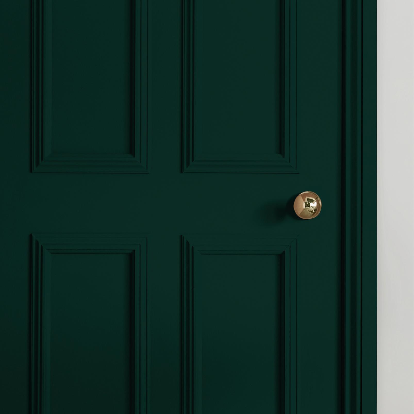 Eva Paint - 109604_INTERNAL_DOOR.jpg