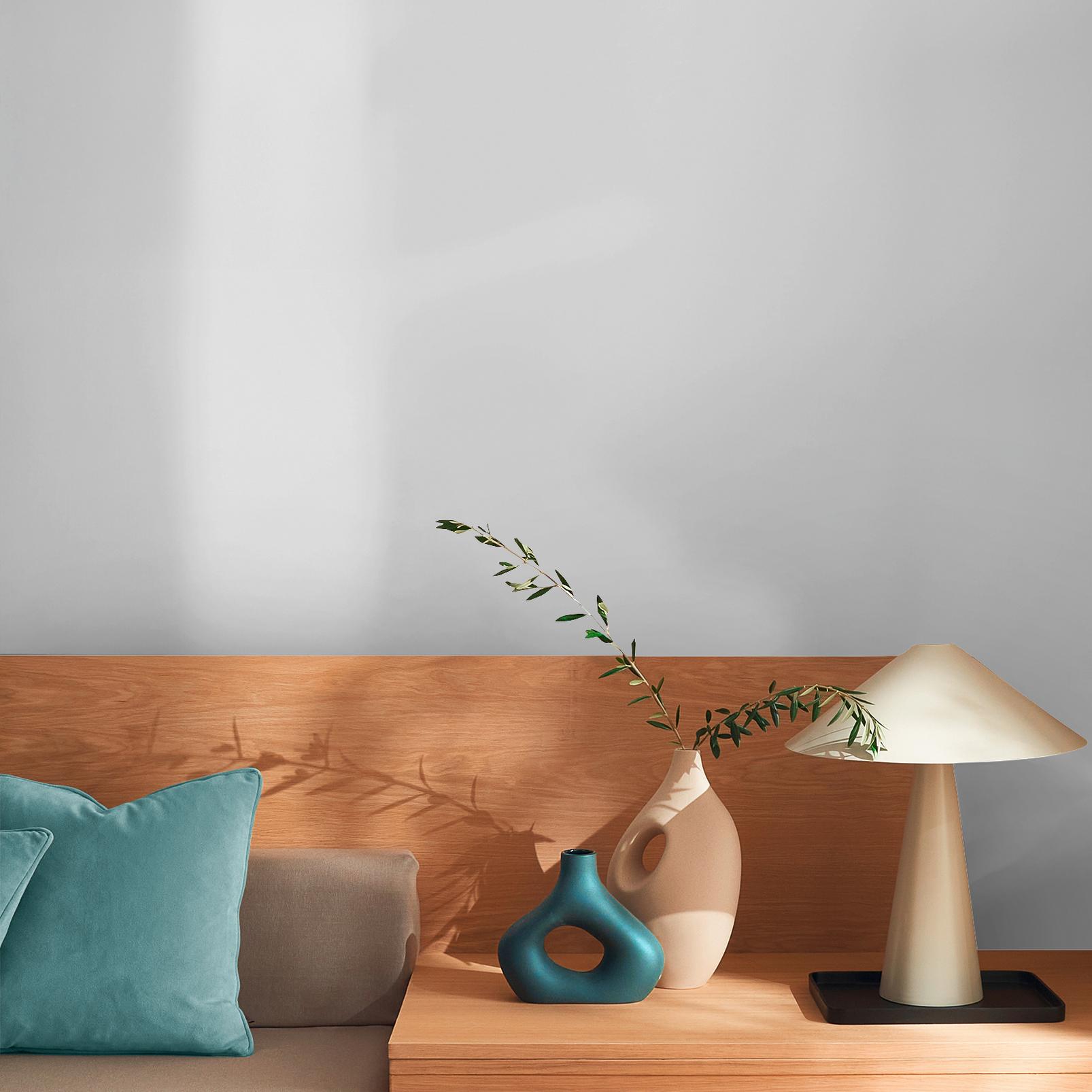 Dove Feather Paint - 109496_ROOMSET_.jpg