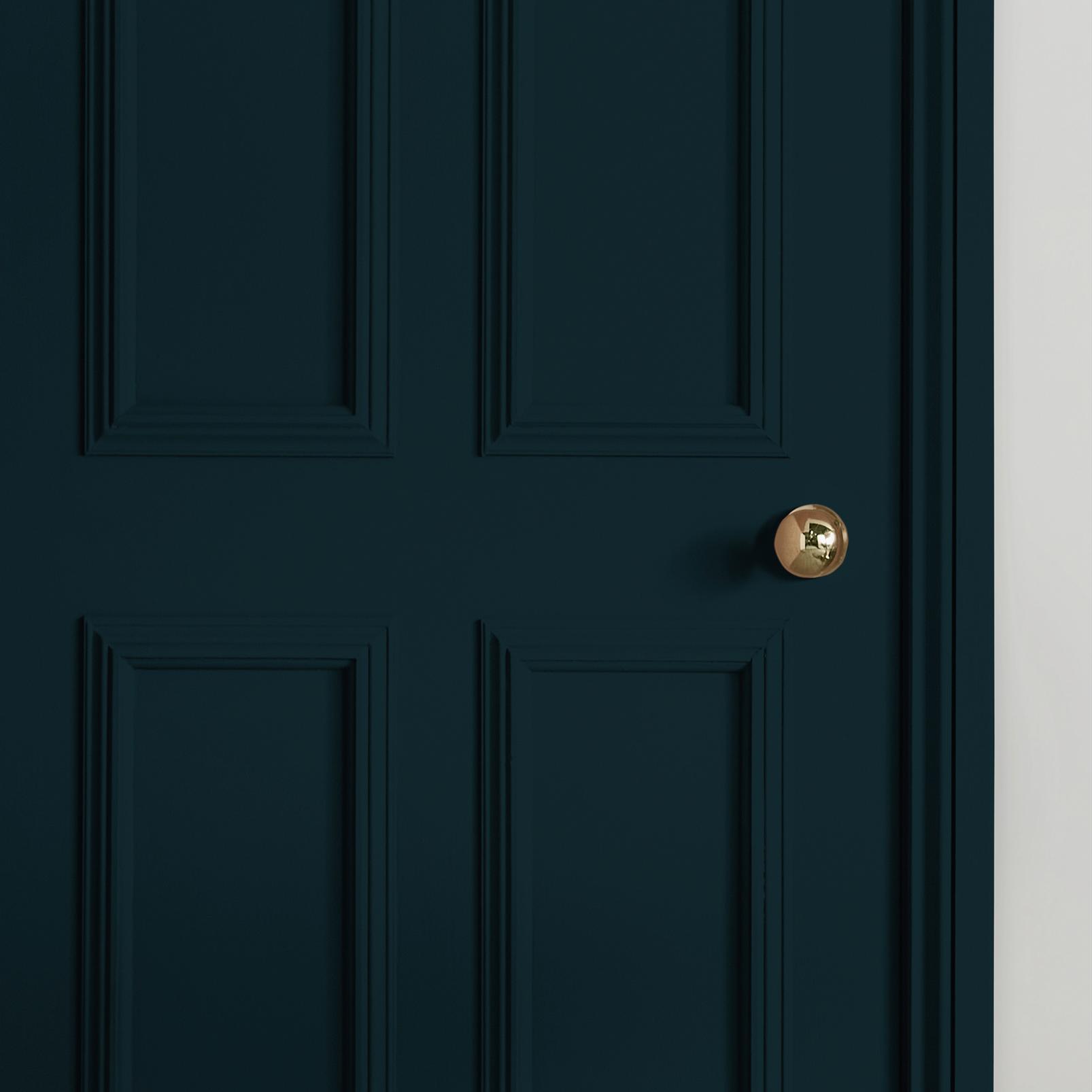 Majestic Painted door