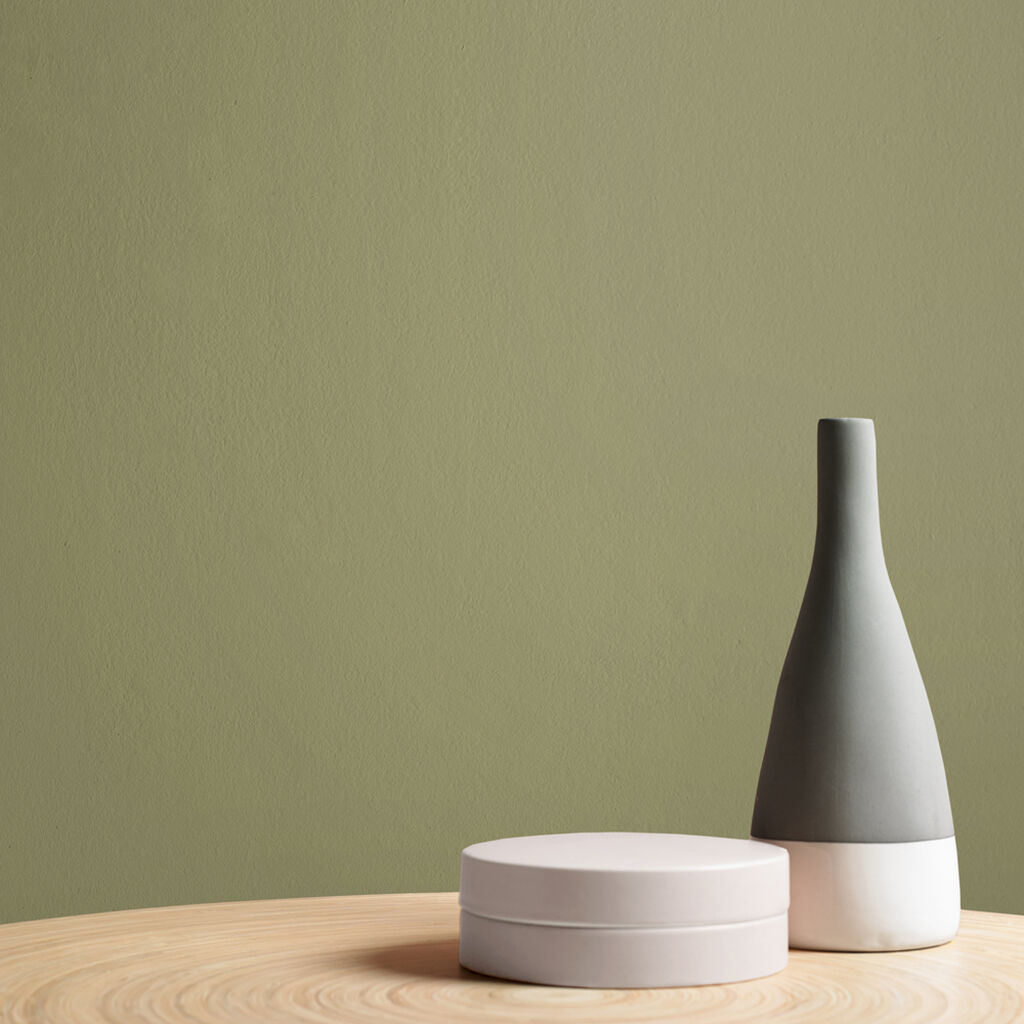 Military Operation Paint