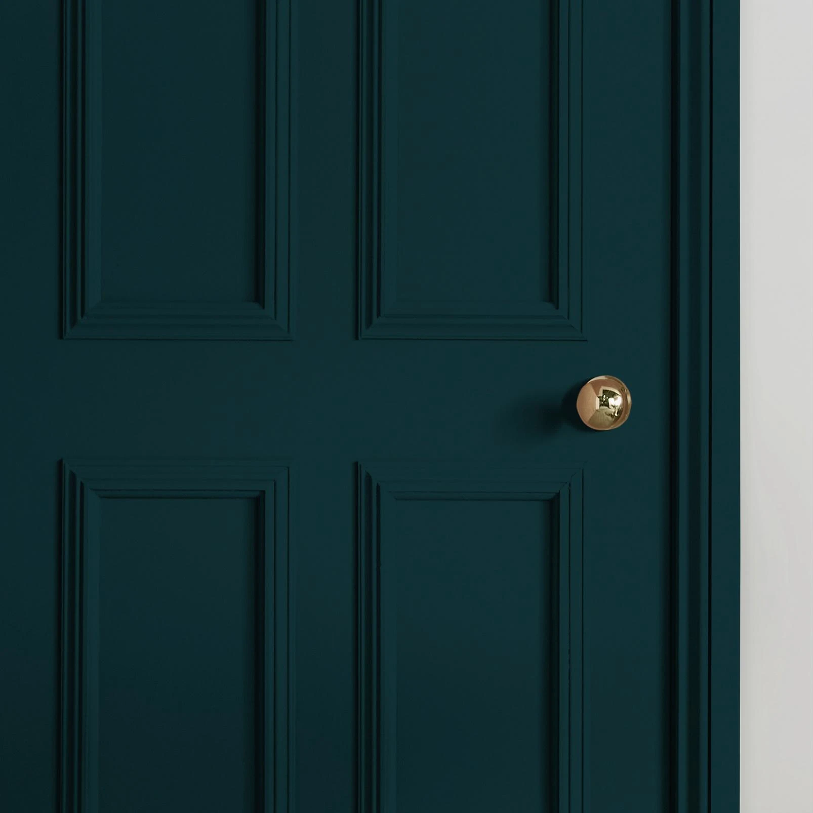 Tiru Paint - 111058_INTERNAL_DOOR_.jpg