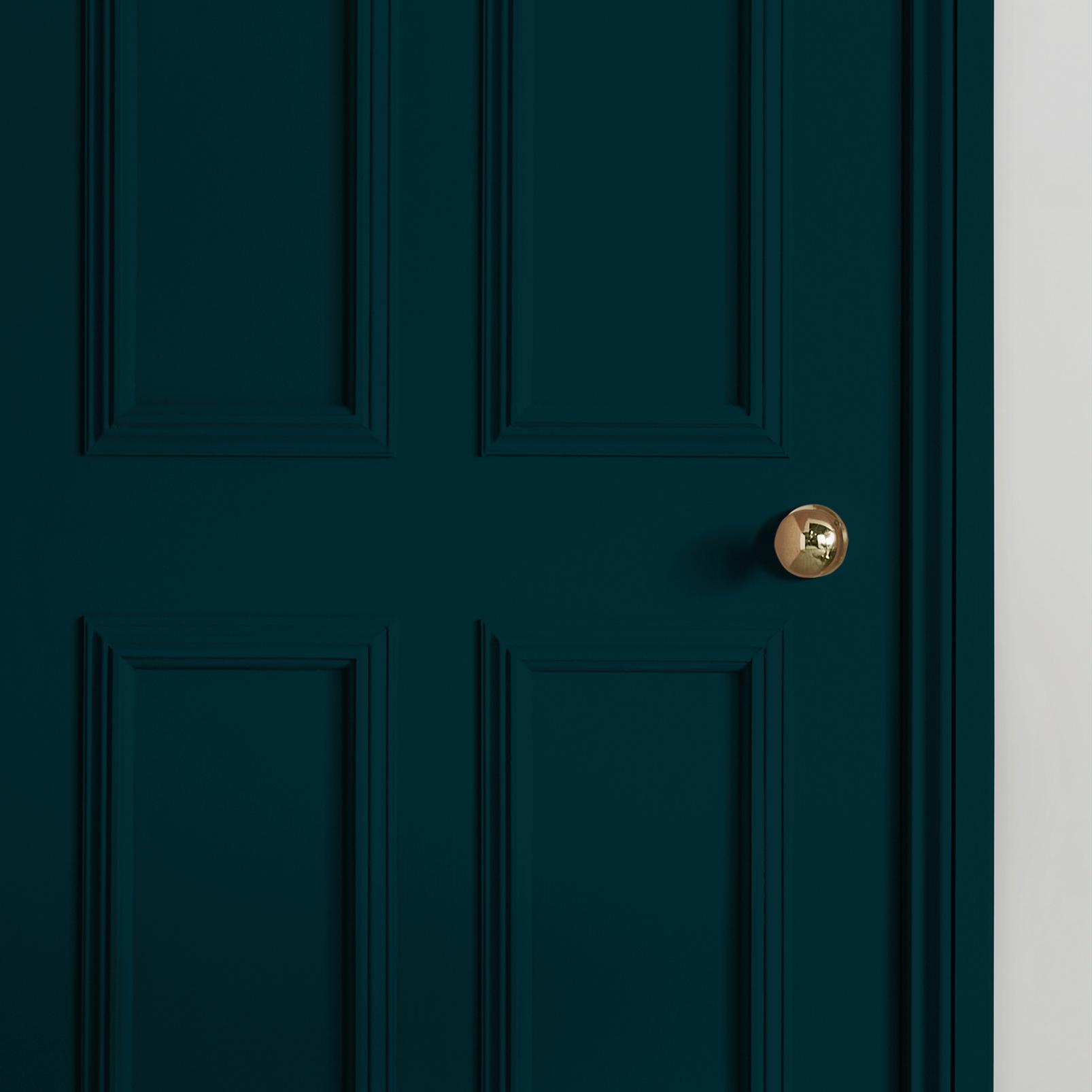 Tiru Paint - 111058_INTERNAL_DOOR.jpg