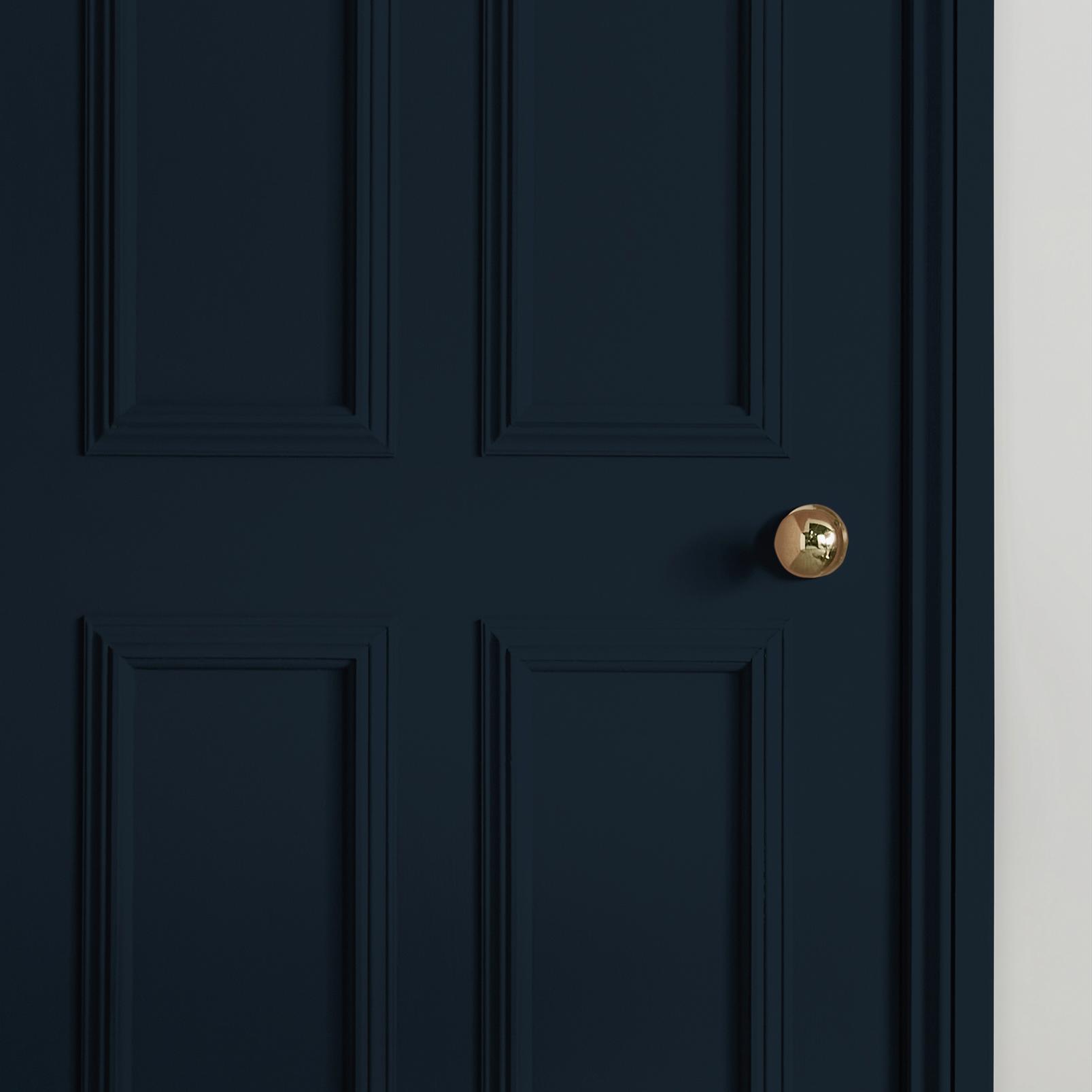 Infinity Painted door