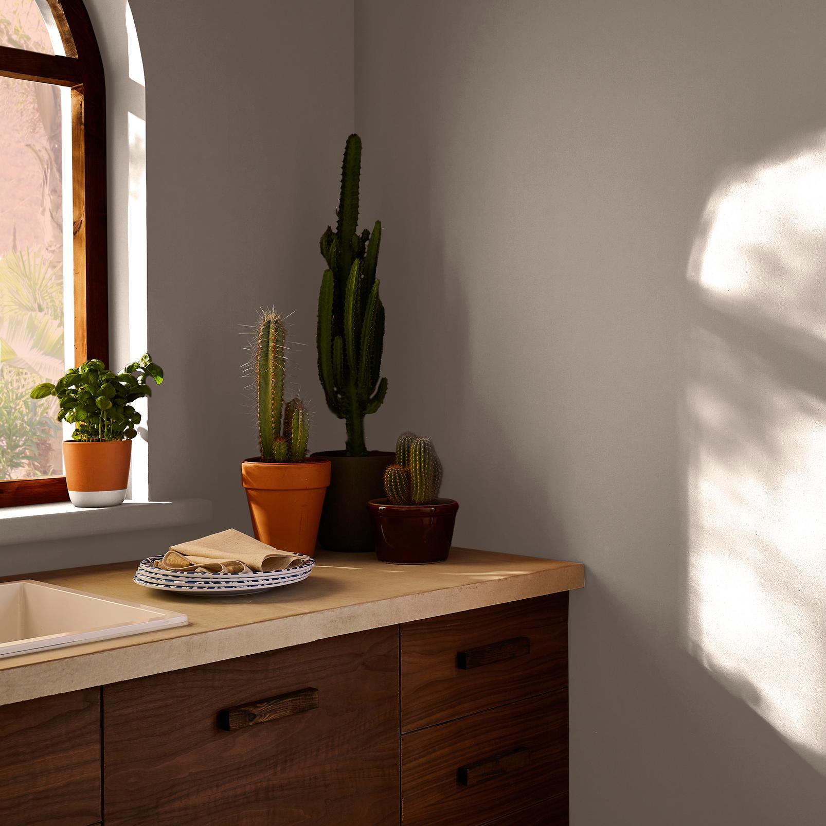 Fondue Paint in a Roomset