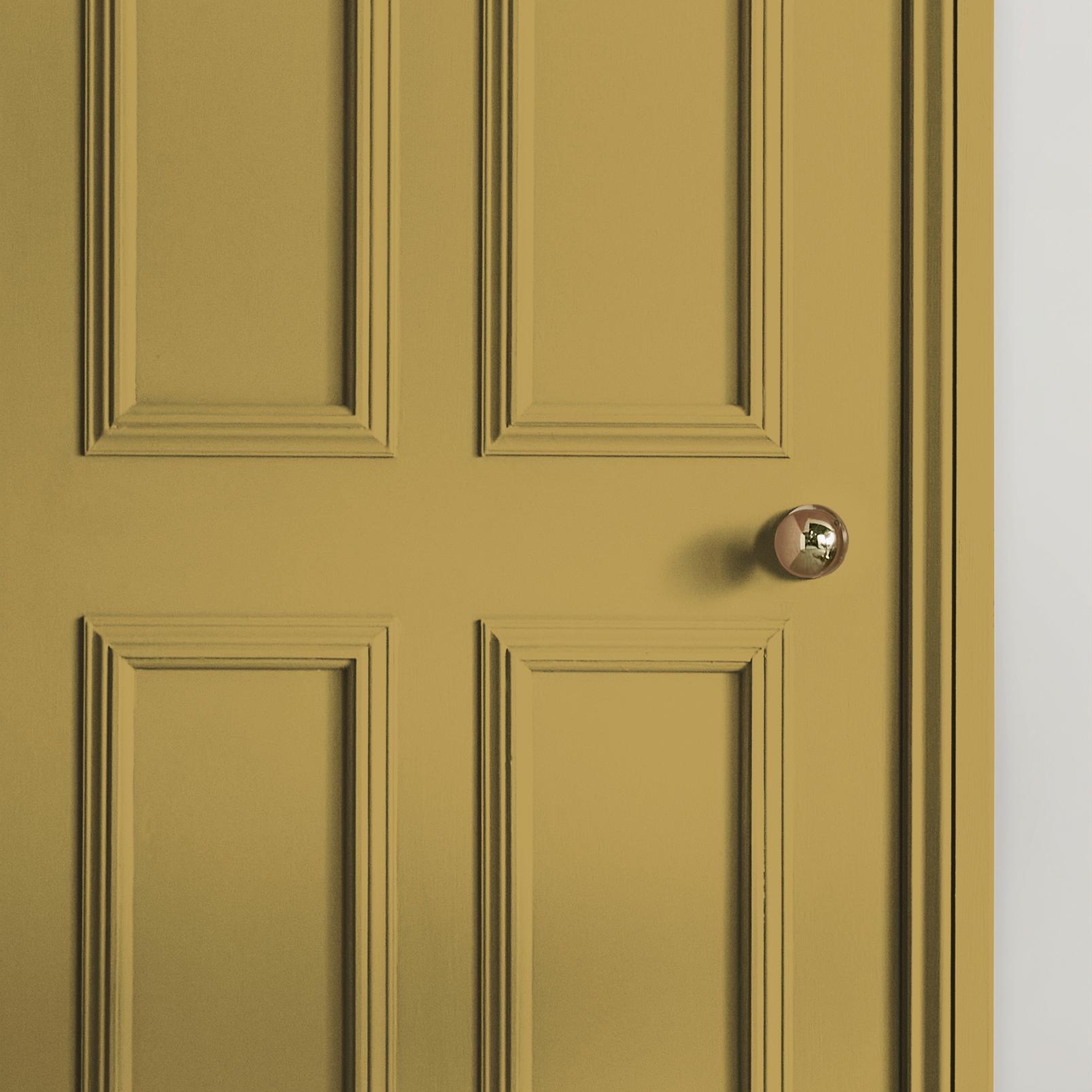 Burnt Saffron Painted door