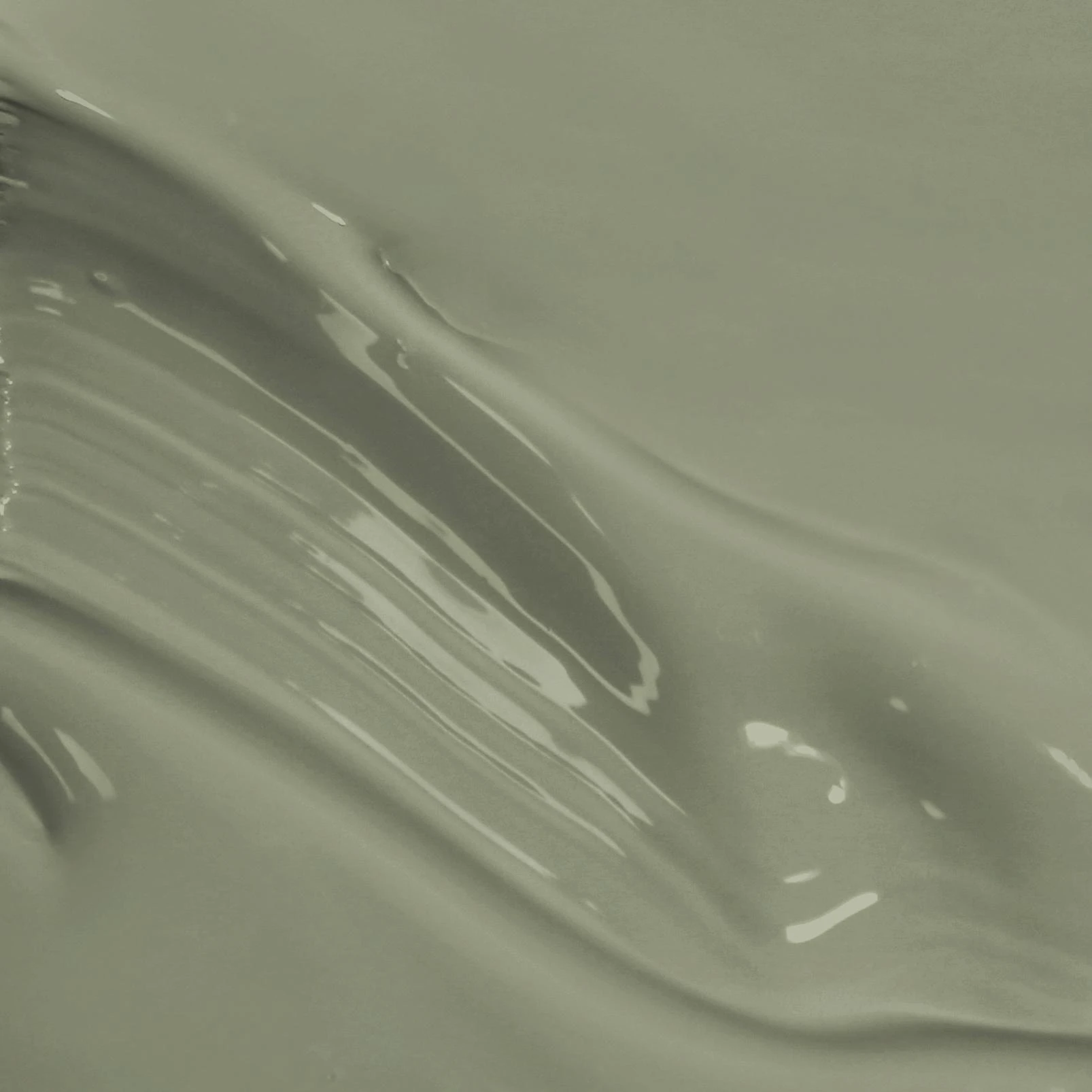 Sage Paint - 119910_PAINT_SWISH_.jpg