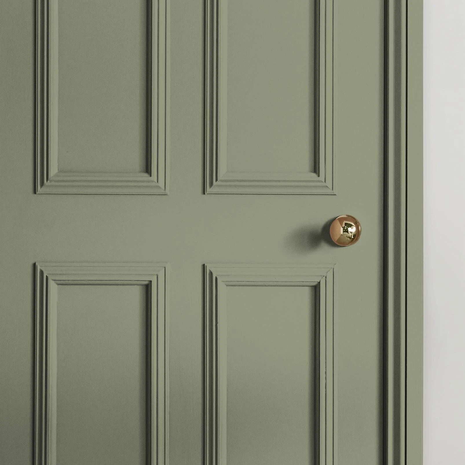 Sage Paint - 119910_INTERNAL_DOOR_.jpg