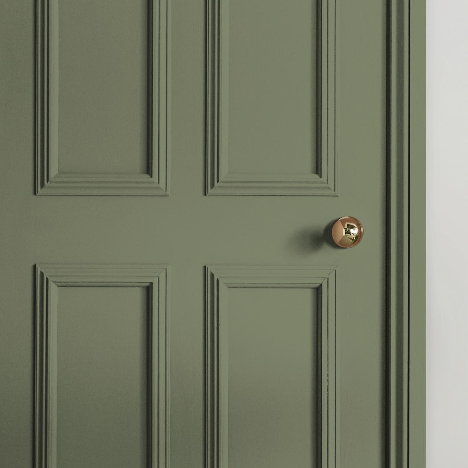 Sage Paint - 119910_INTERNAL_DOOR.jpg