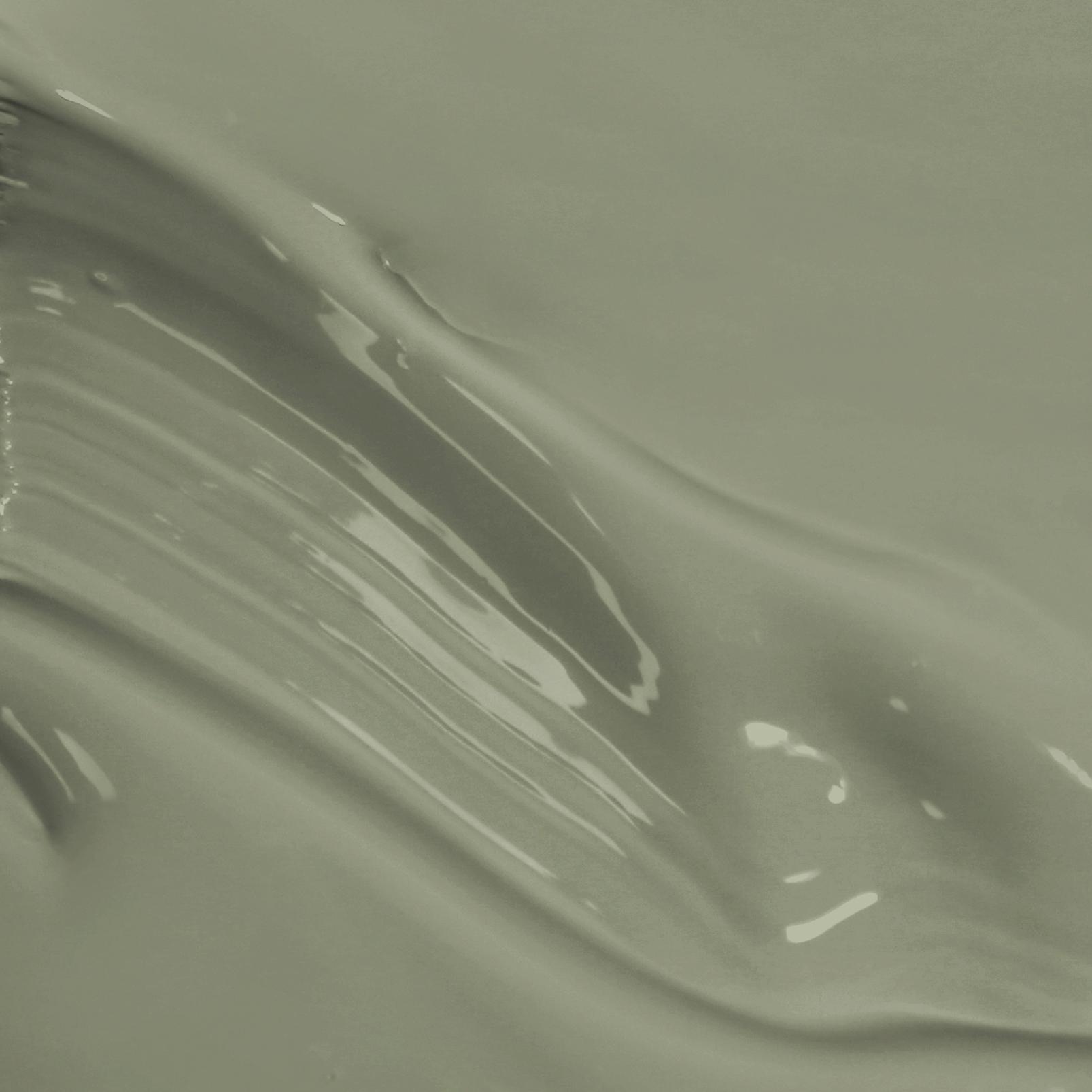 Sage Paint - 119910_PAINT_SWISH.jpg