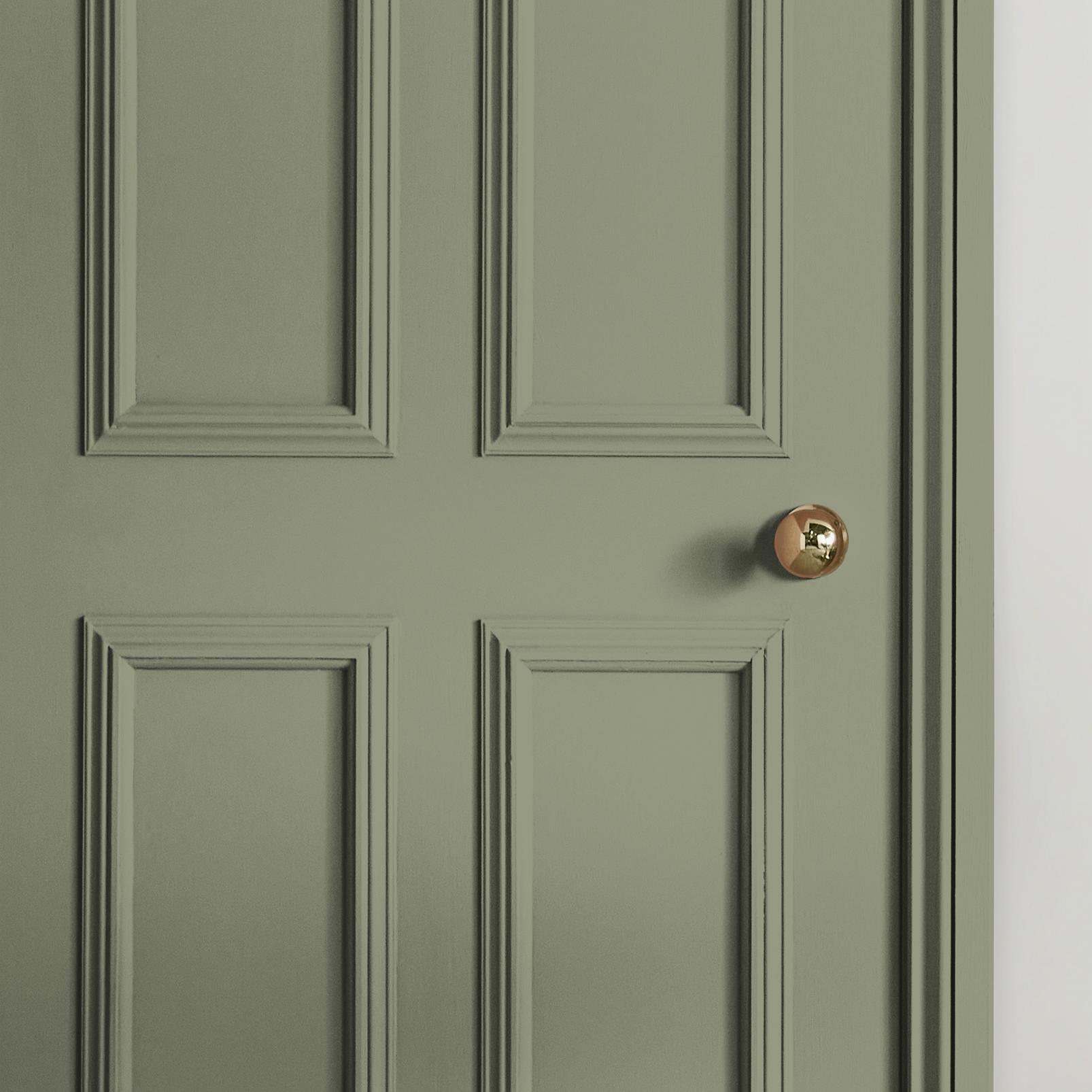 Sage Paint - 119910_INTERNAL_DOOR.jpg