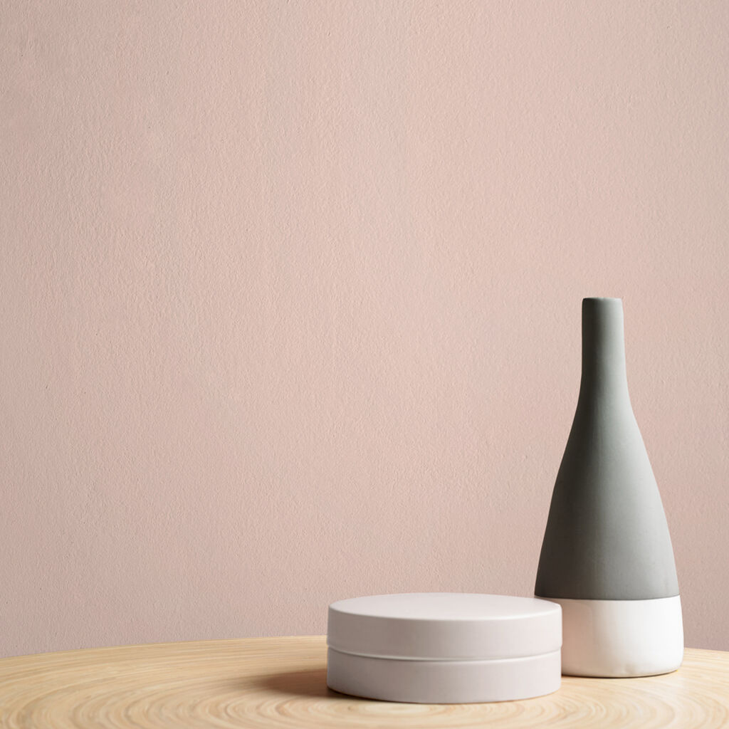 Muted Blush Paint