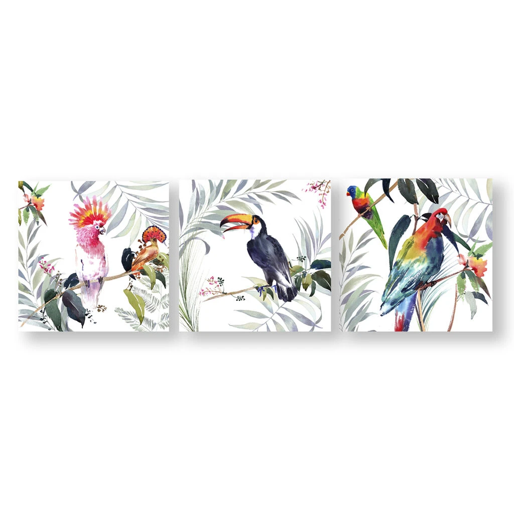 Set de 3 Toile Imprimées Tropical Amazon Birds