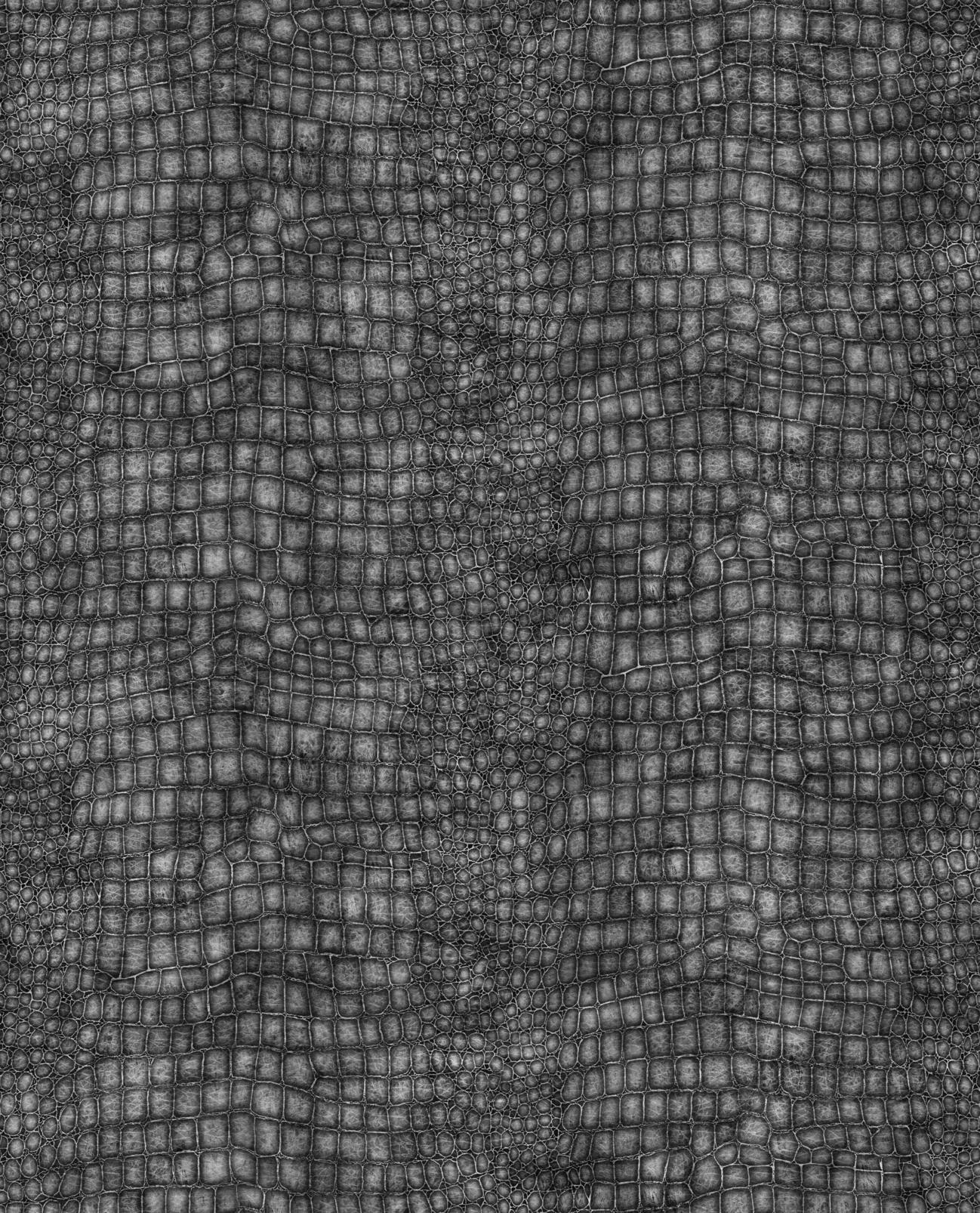 Crocodile Black Wallpaper - 32-659_DETAIL_01.jpg