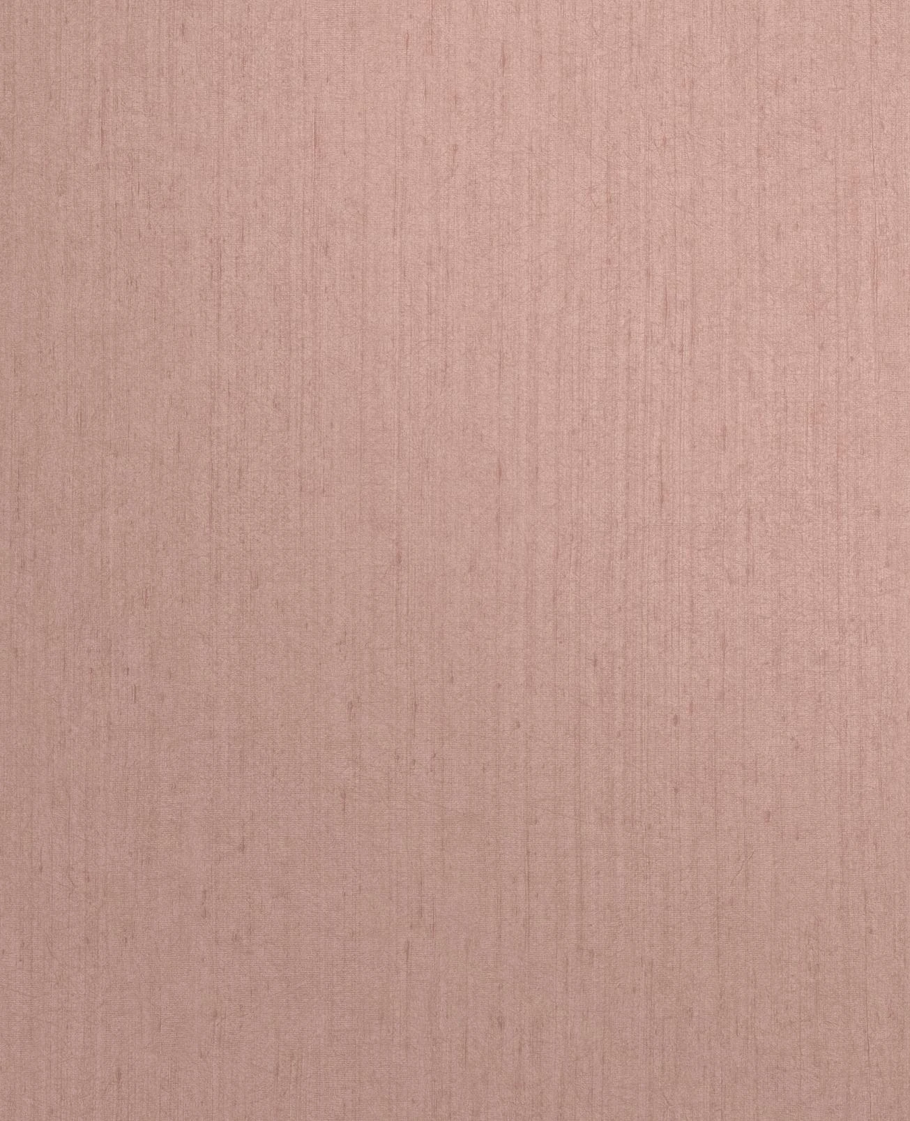 Tisbury Shell Wallpaper by Clarissa Hulse - 120374_TILE_01.jpg