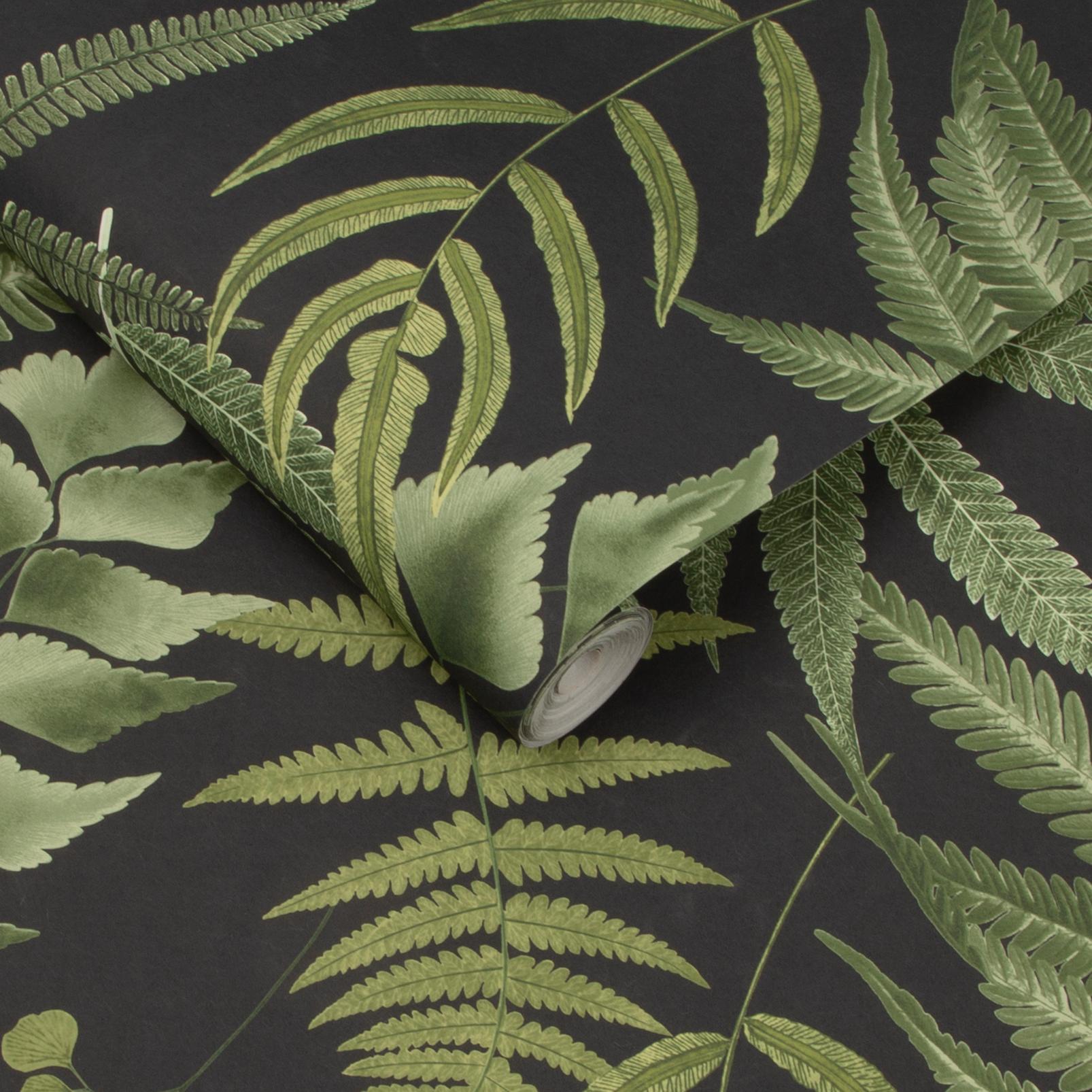 Midsummer Fern Black Wallpaper - 107879_ROLLSHOT_MIDSUMMER FERN BLACK_01.jpg