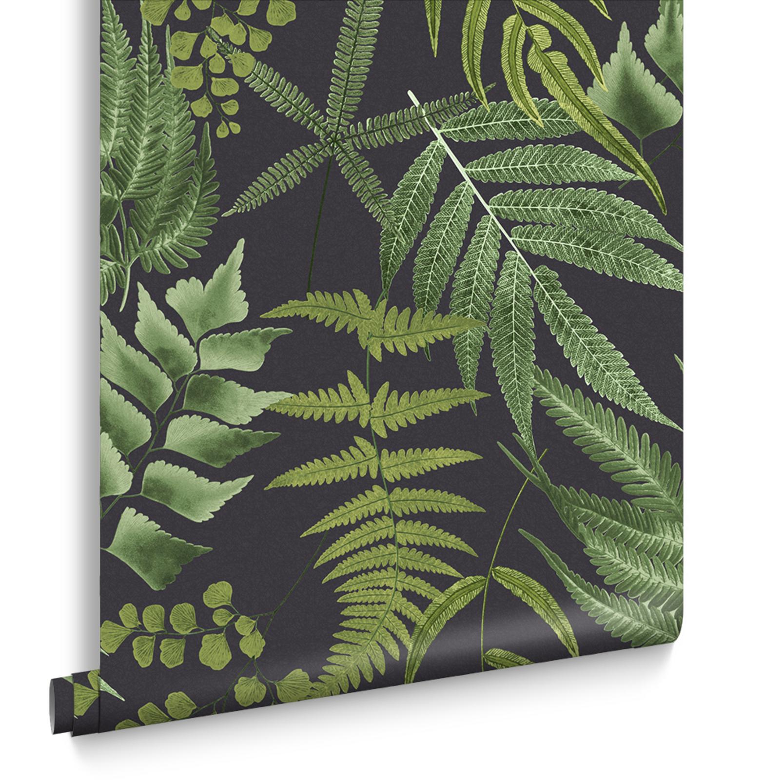 Midsummer Fern Black Wallpaper - 107879_DIGITAL ROLL_MIDSUMMER FERN BLACK_02.jpg