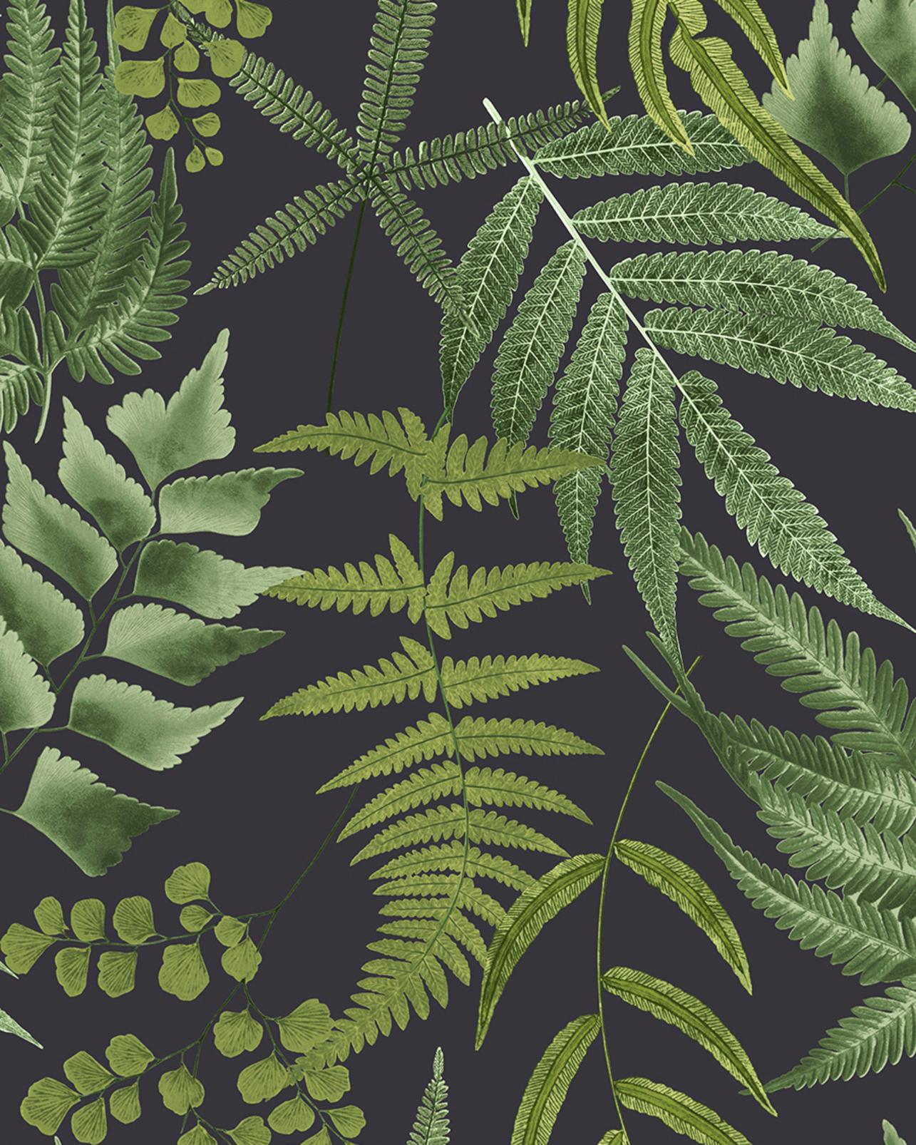 Midsummer Fern Black Wallpaper - 107879_TILE_01.jpg