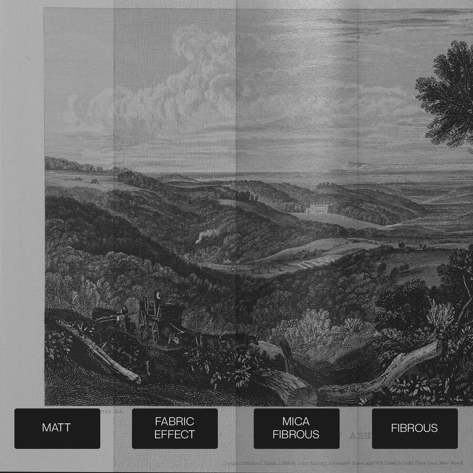 Turner The Vale of Ashburn Bespoke Mural - 119021_SUBSTRATE_01.jpg