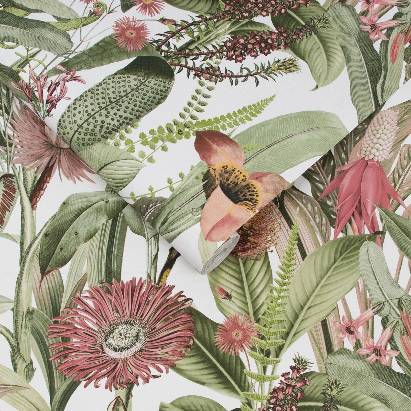 Tigerlily Lush Wallpaper - 118024_ROLLSHOT_TIGERLILY LUSH_02.jpg