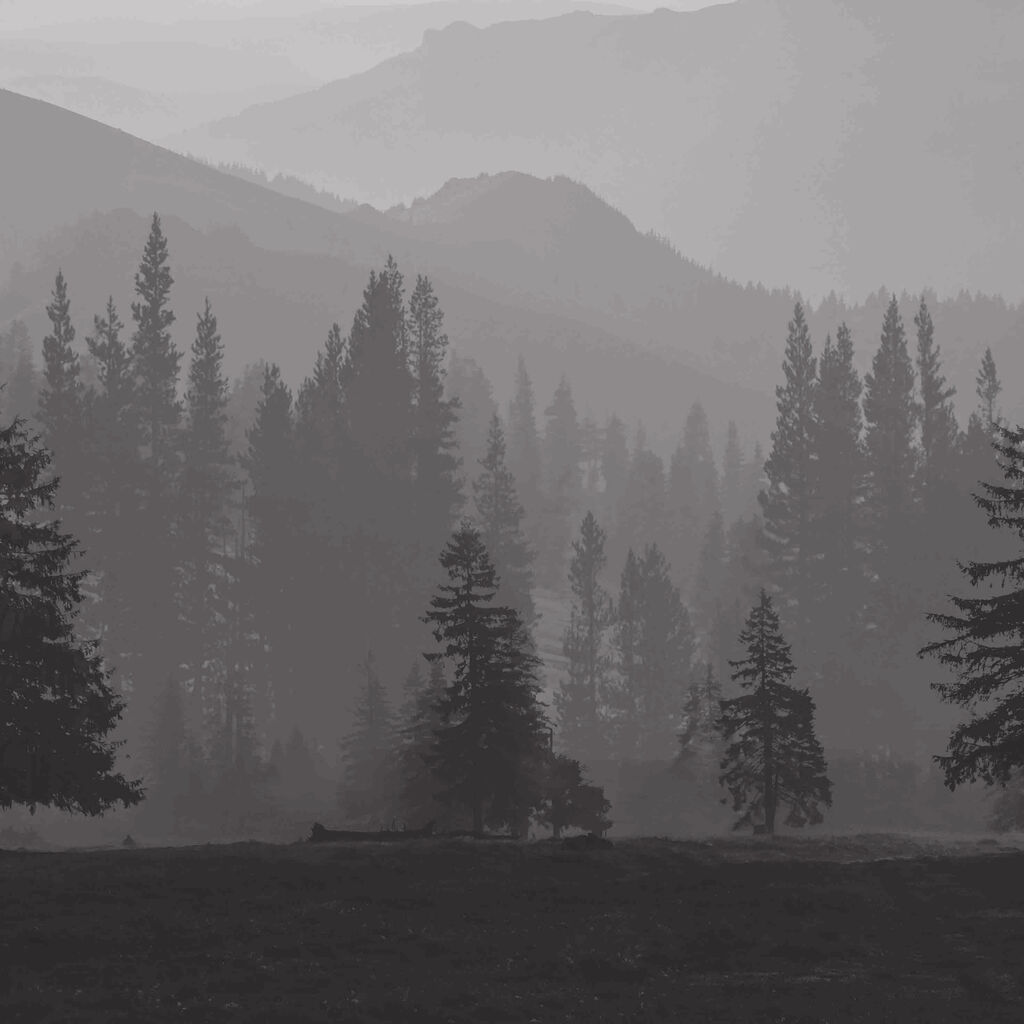 Misty Mountains Bespoke Mural