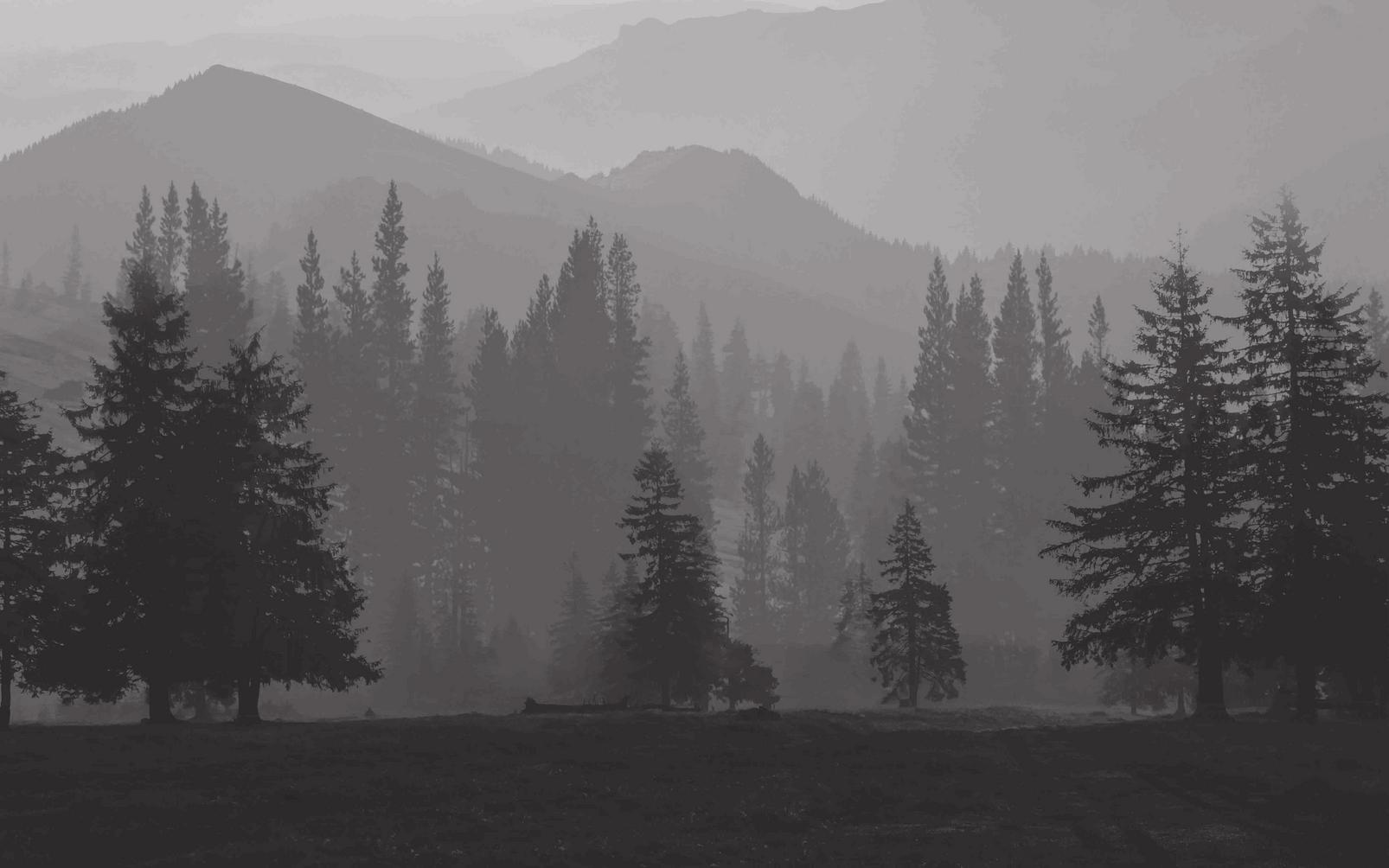 Misty Mountains Bespoke Mural - 111891_MAINTILE_01.jpg